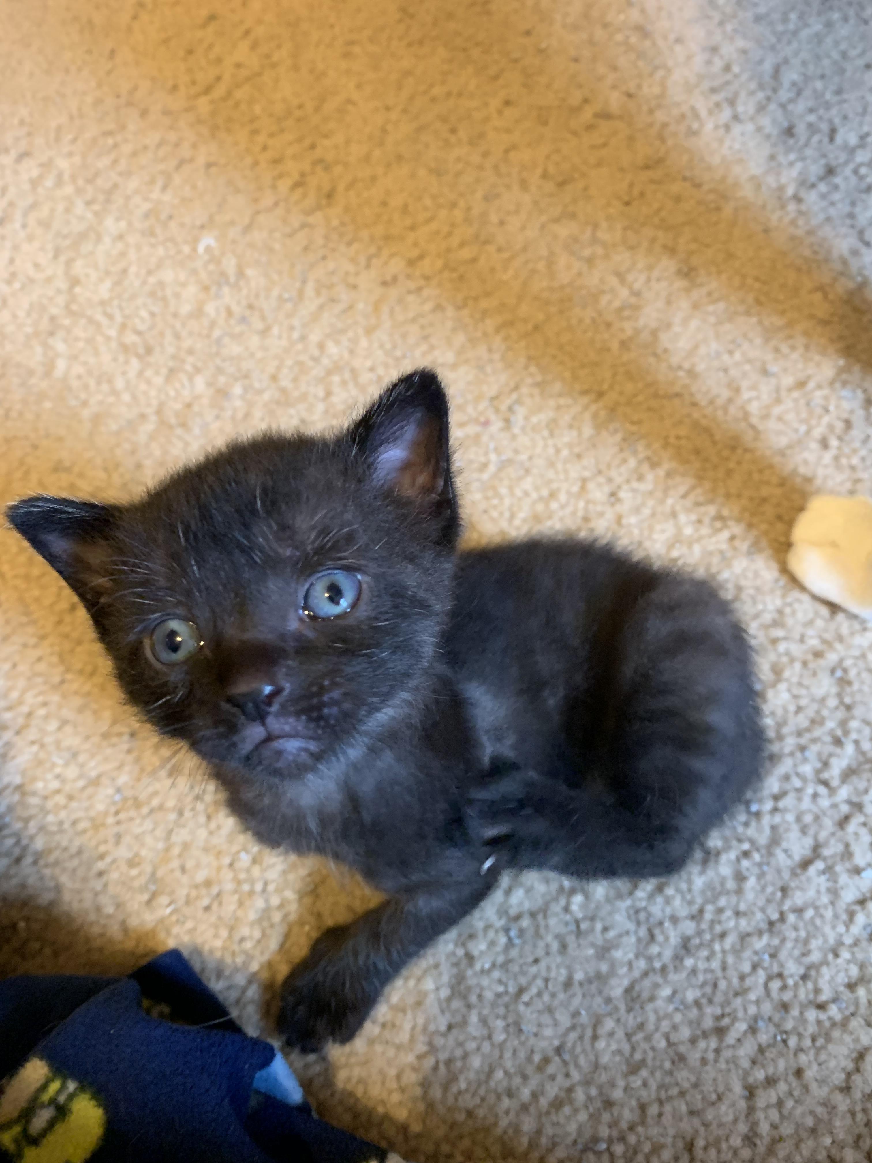 Ok Reddit! I need a name for this sweet little baby girl