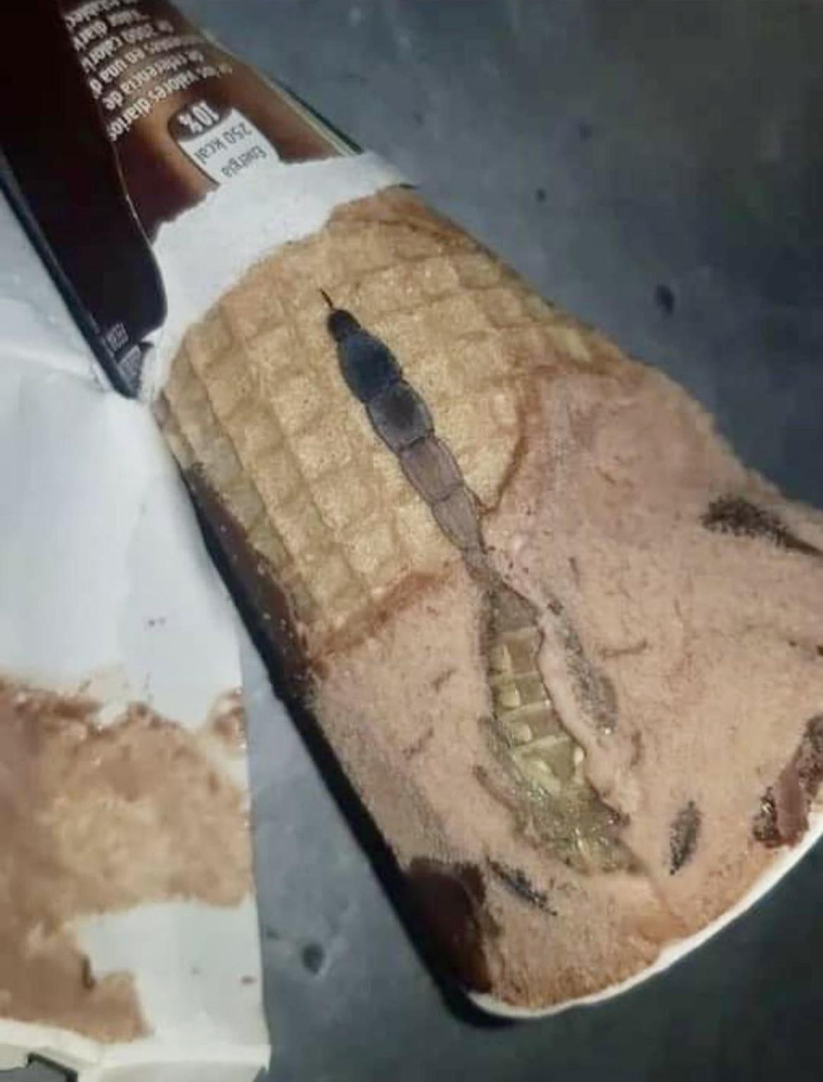 Ice cream anyone? r/TerrifyingAsFuck