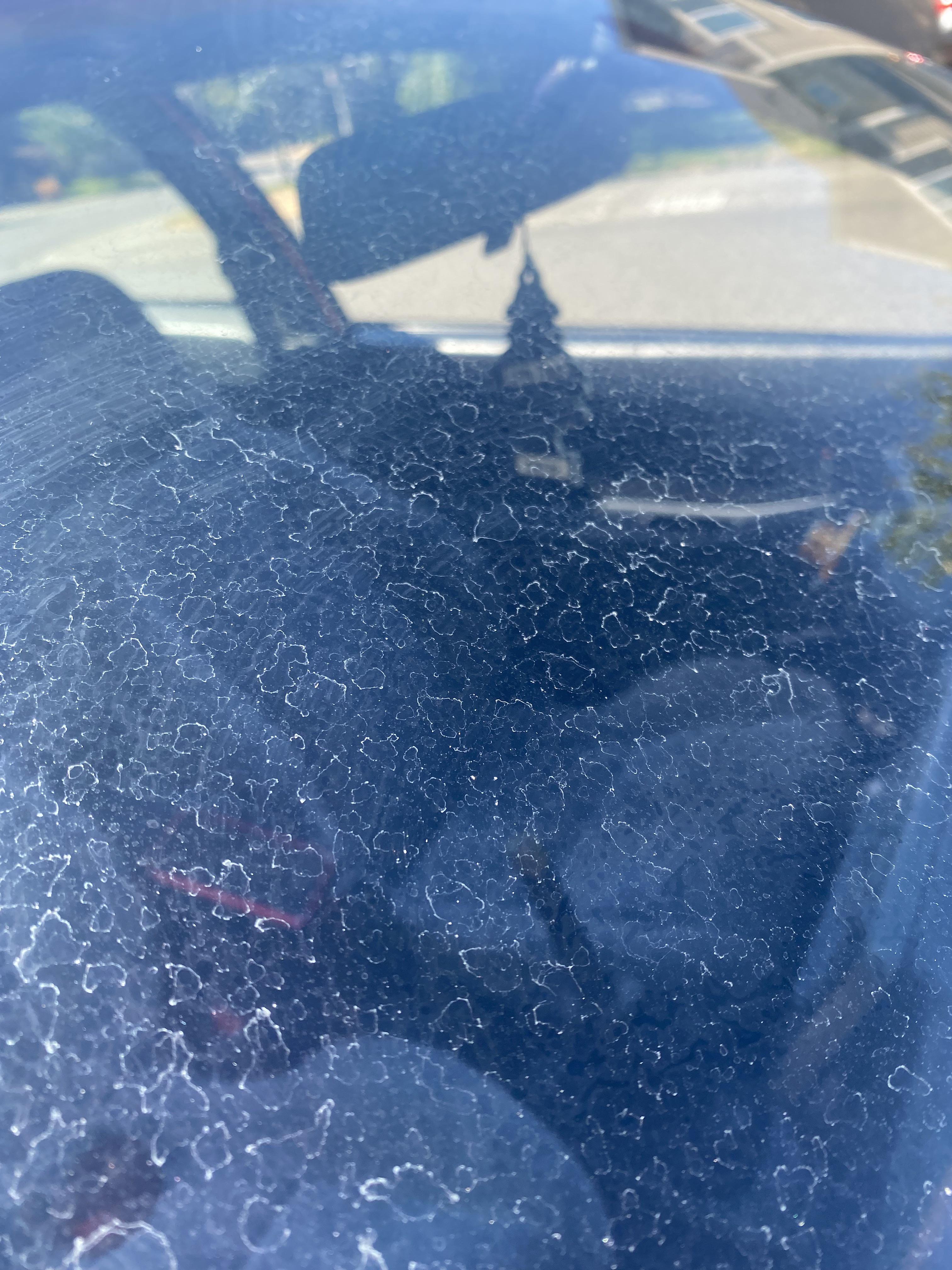 White spots on car. Not coming off with soap and water or any window