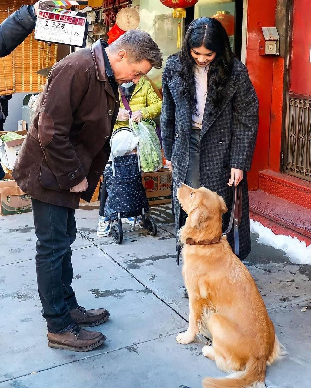 4815 best Cute Dog images on Pholder | Aww, DOG and Eyebleach