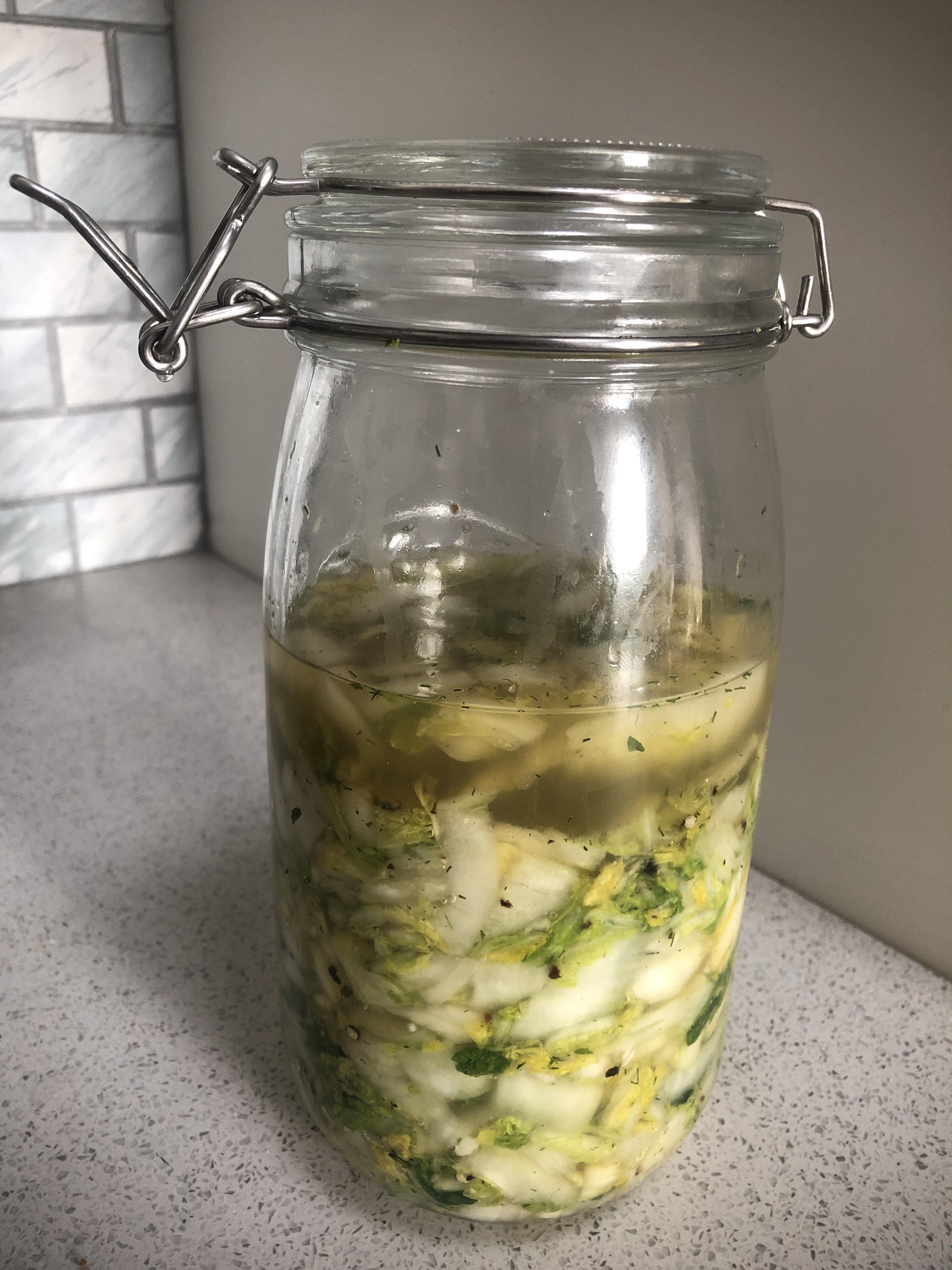Tiny batch of garlic dill kraut (Day 1) r/fermentation