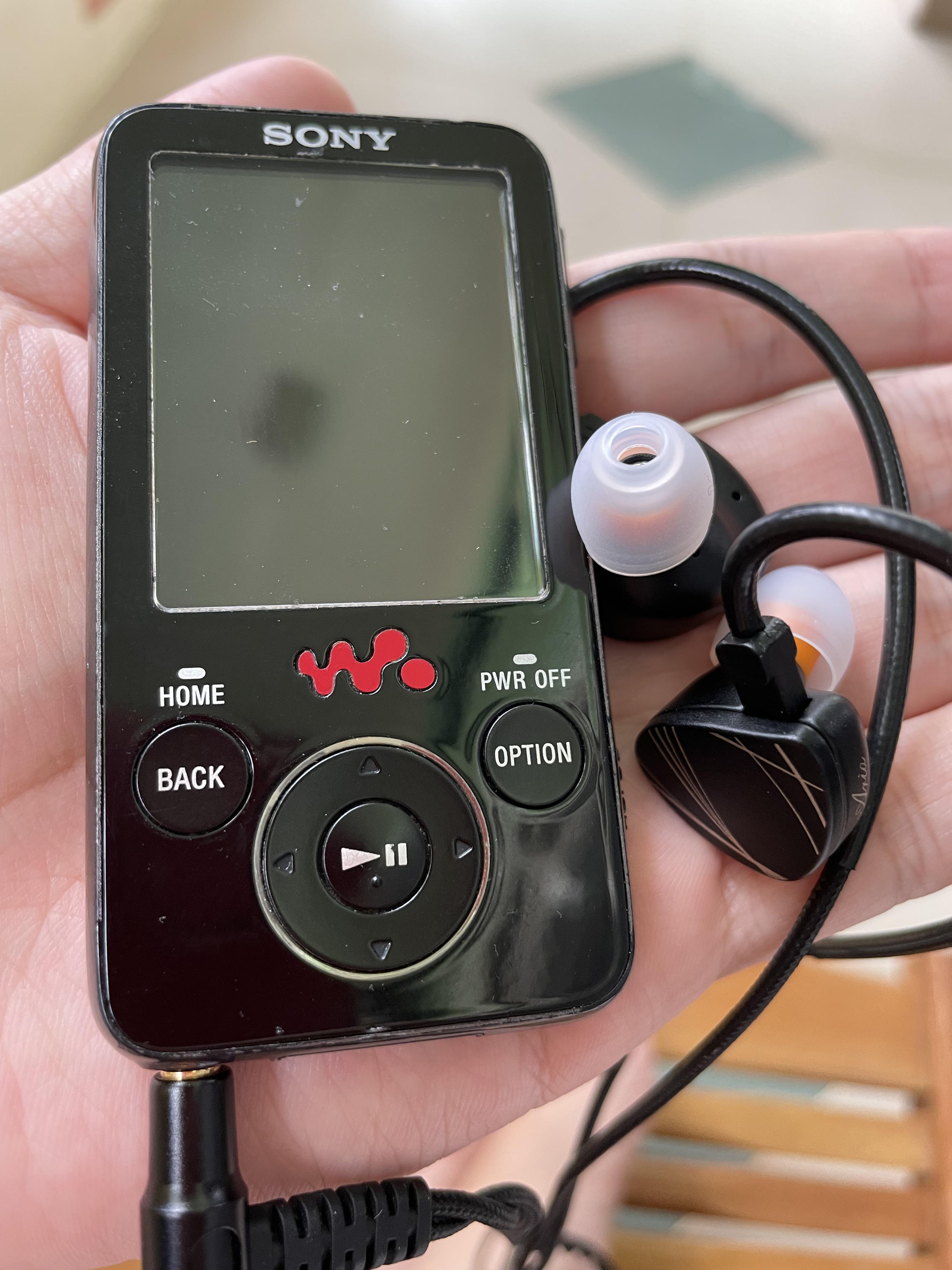 Budget setup! r/headphones