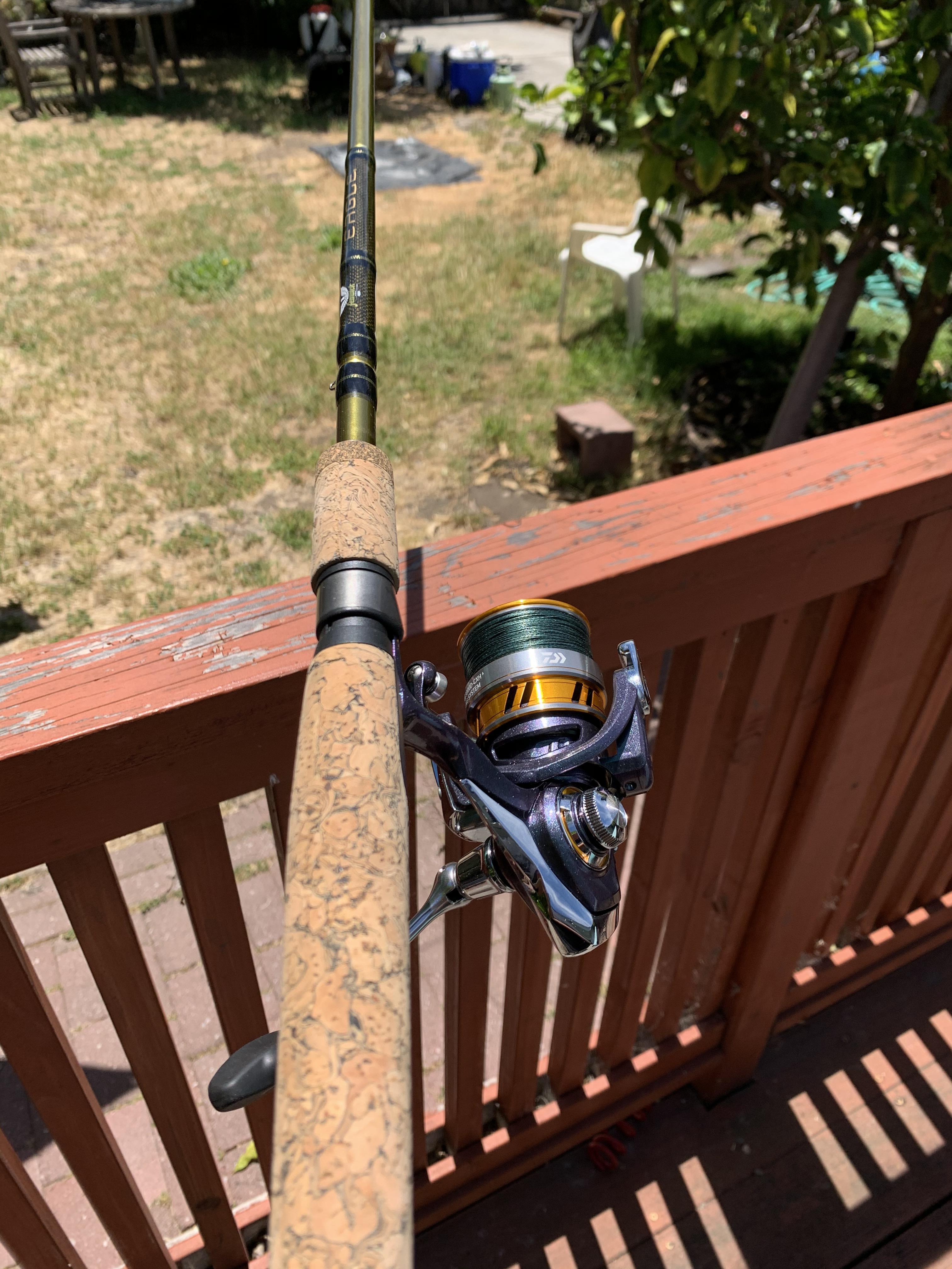 New light tackle surf setup. Fenwick Eagle steelhead rod with a Daiwa Regal LT r/Fishing_Gear