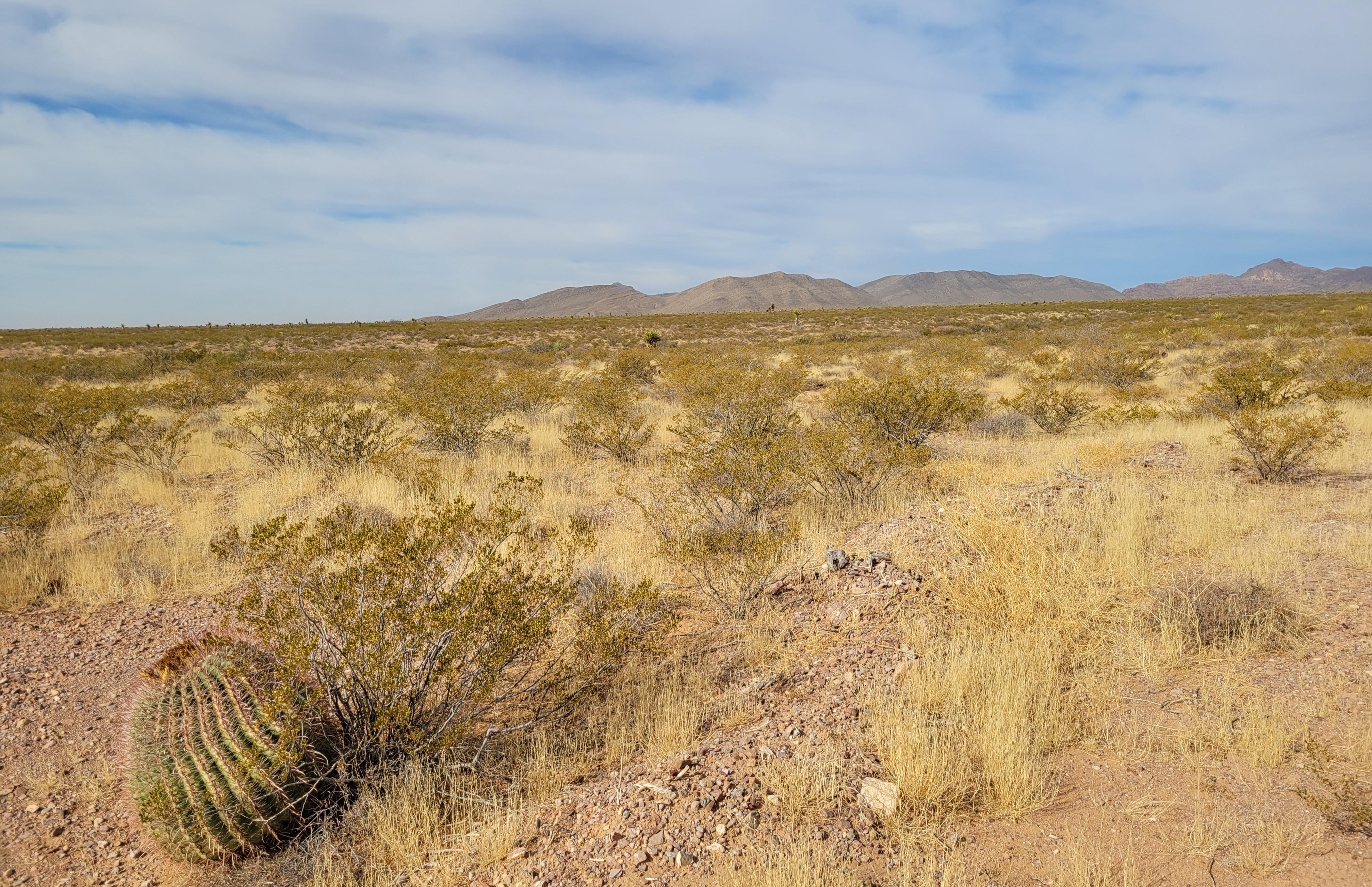 [OC] Doña Ana, New Mexico, USA [4032x2606] r/EarthPorn