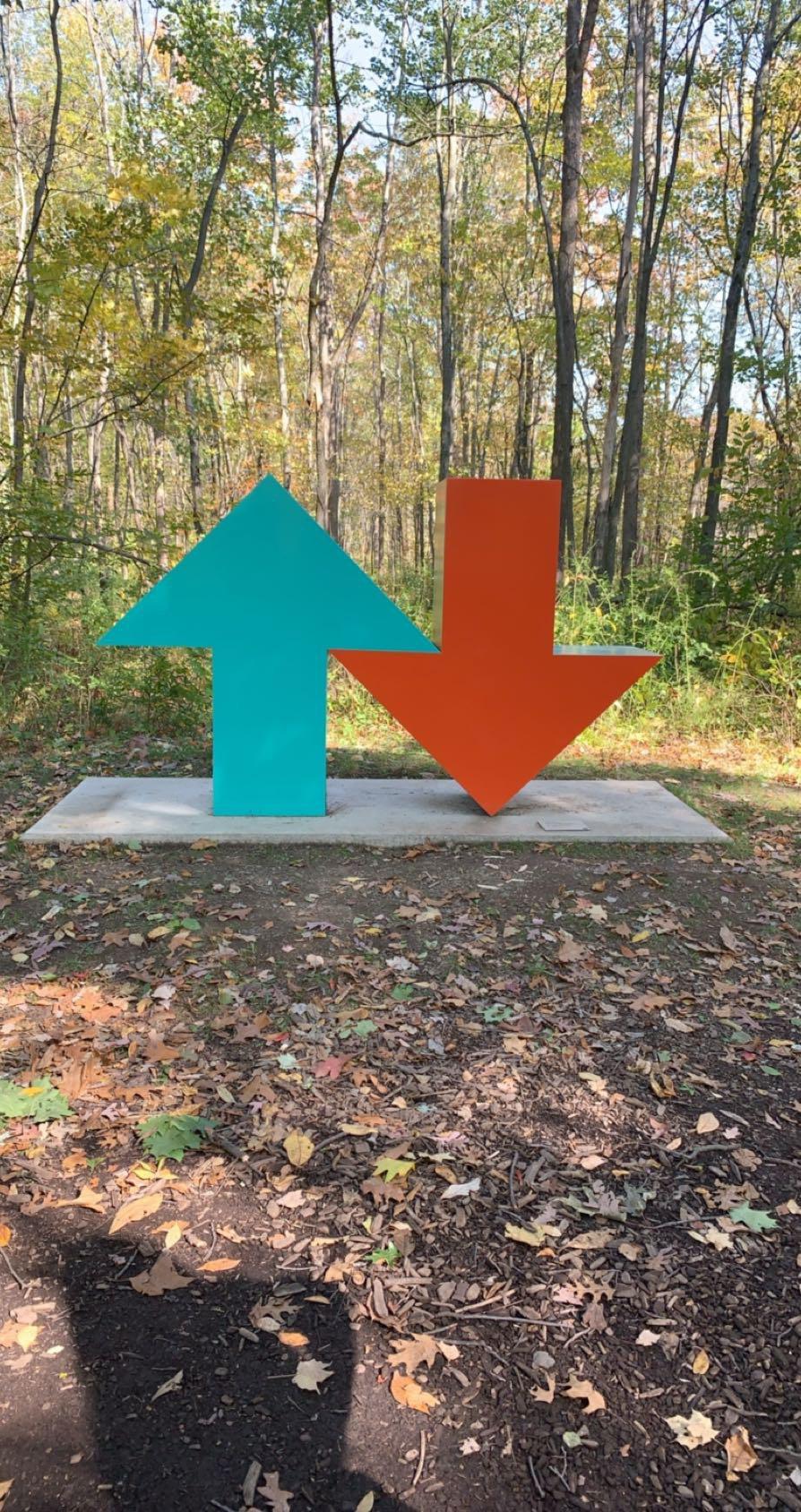 Flipped upvote/downvote at an art installation near me. mildlyinteresting