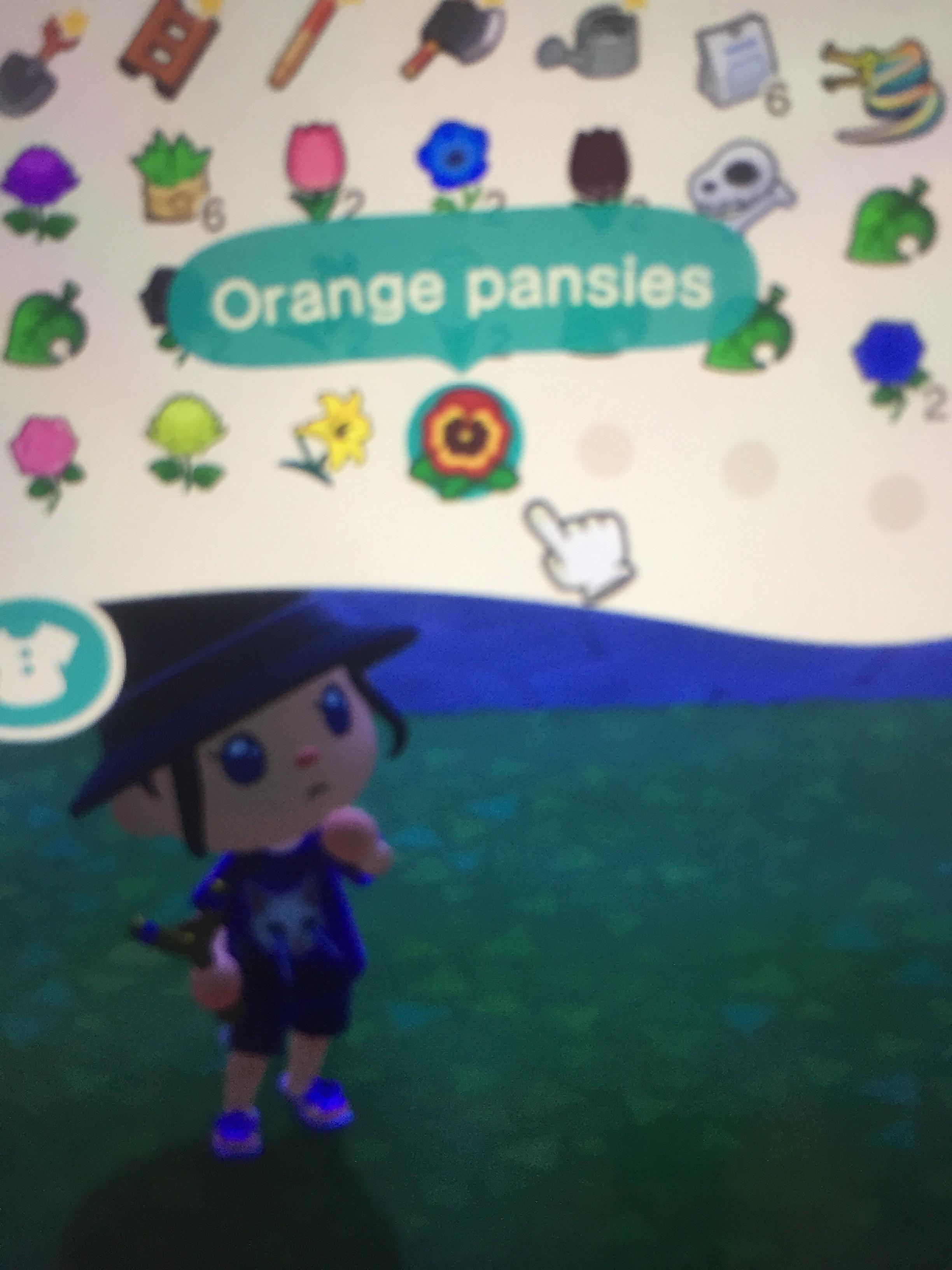 If I plucked flowers from someone else’s island and place them on mine