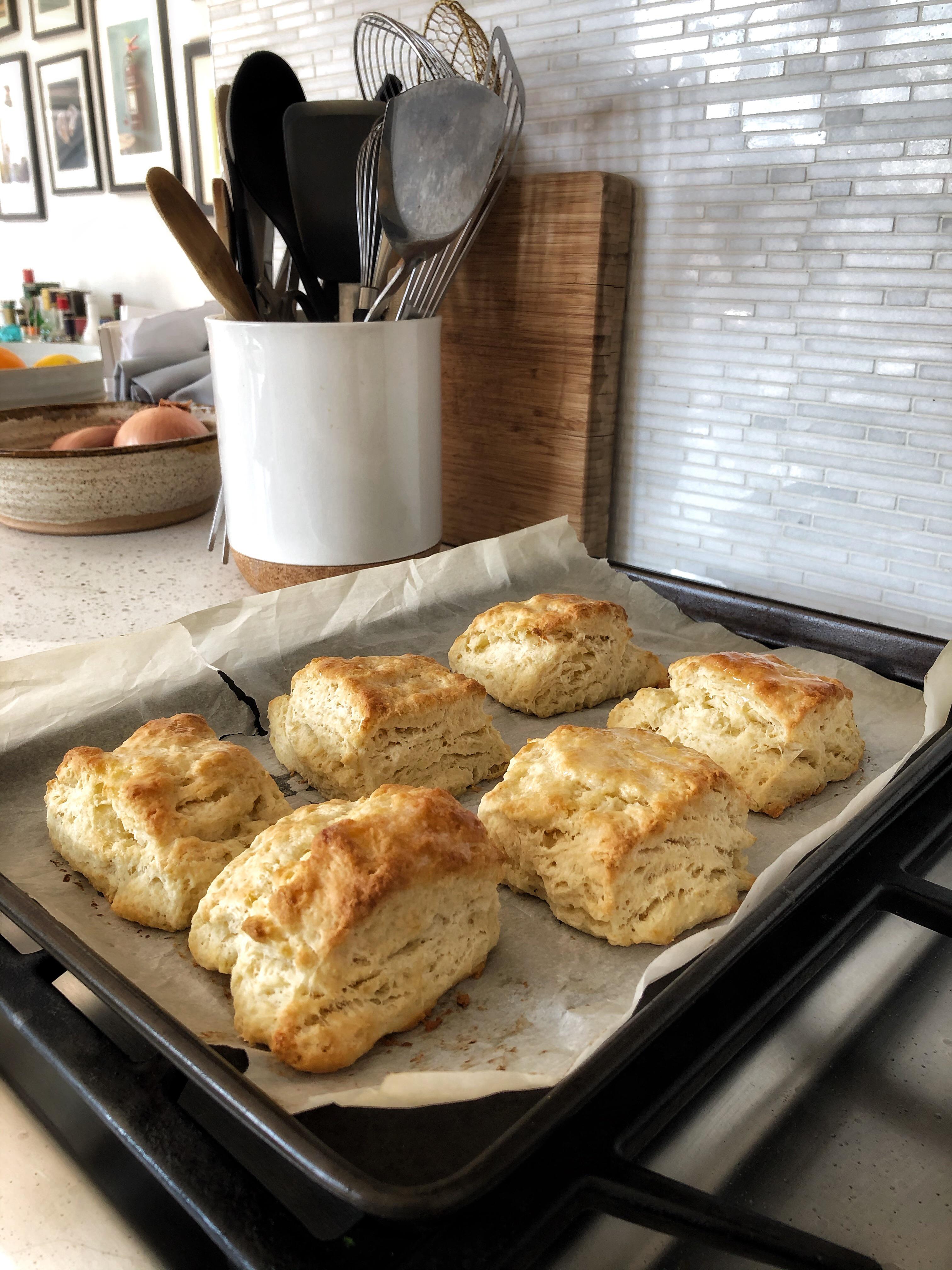Are biscuits allowed here? r/Breadit