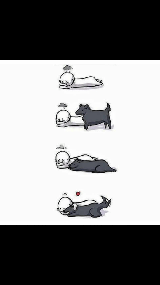 Man's best friend. wholesomememes
