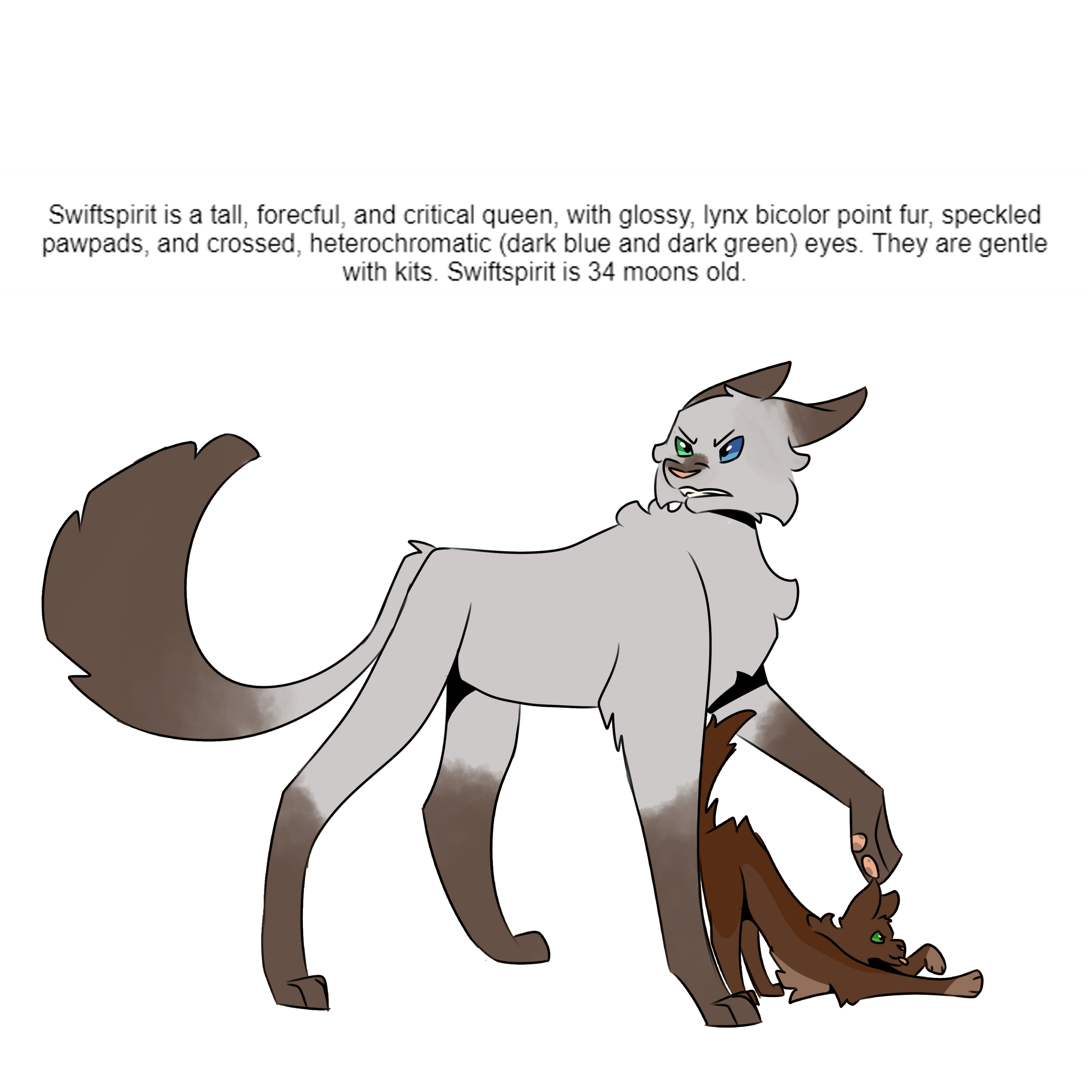 more randomly generated warrior cats! got the idea from _krimmins_ on