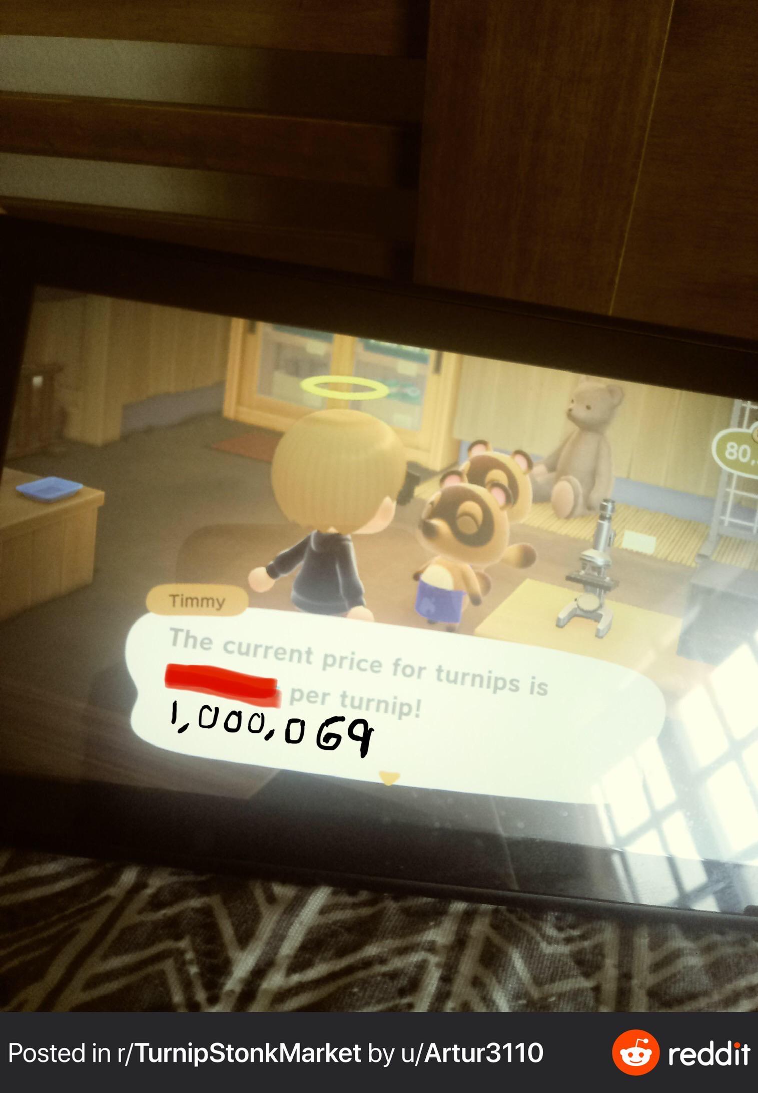 1846 best Dodo Code images on Pholder No Fee AC, Turnip Exchange and