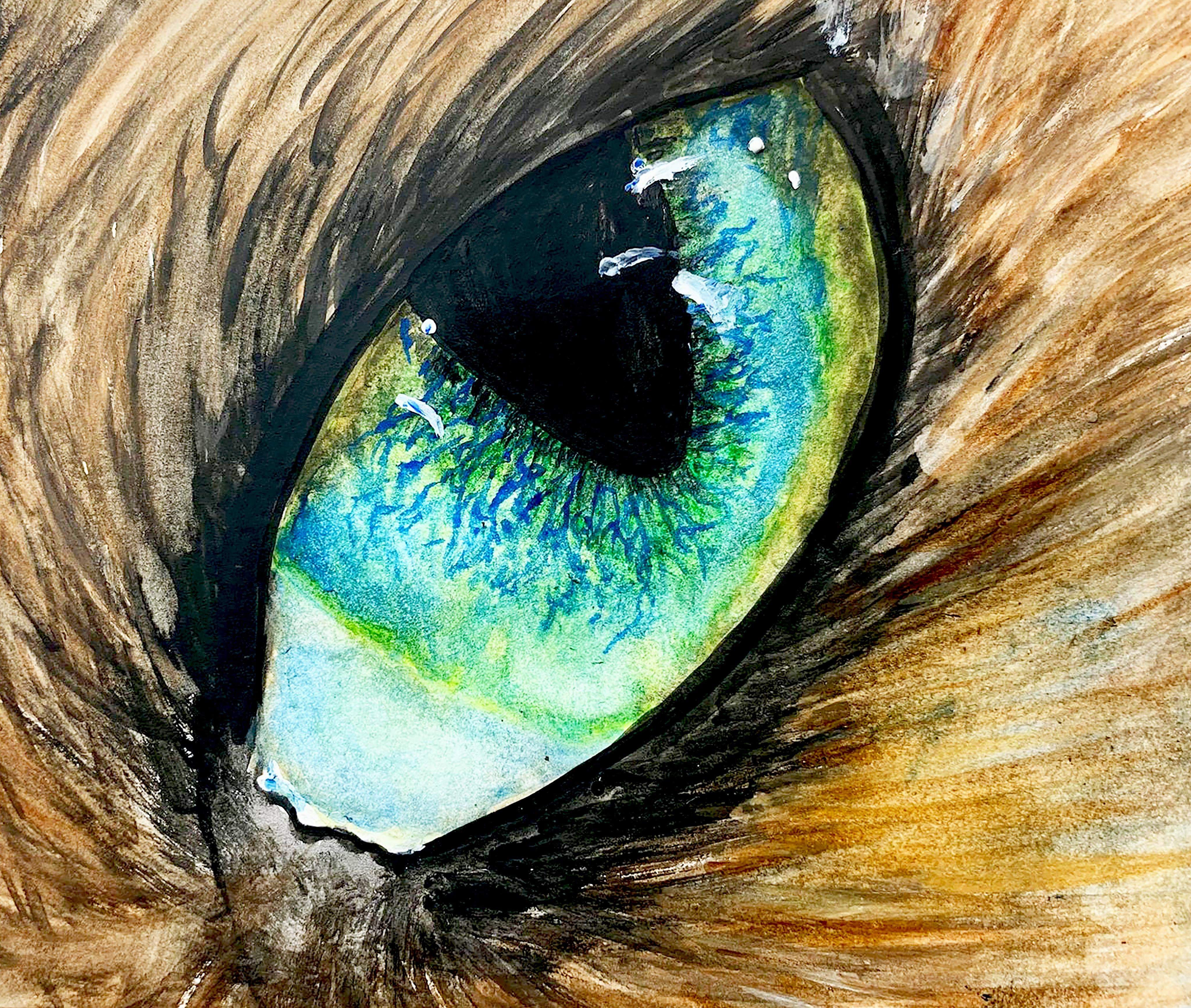 Cat's eye Painting in watercolor using reference photo from Pinterest
