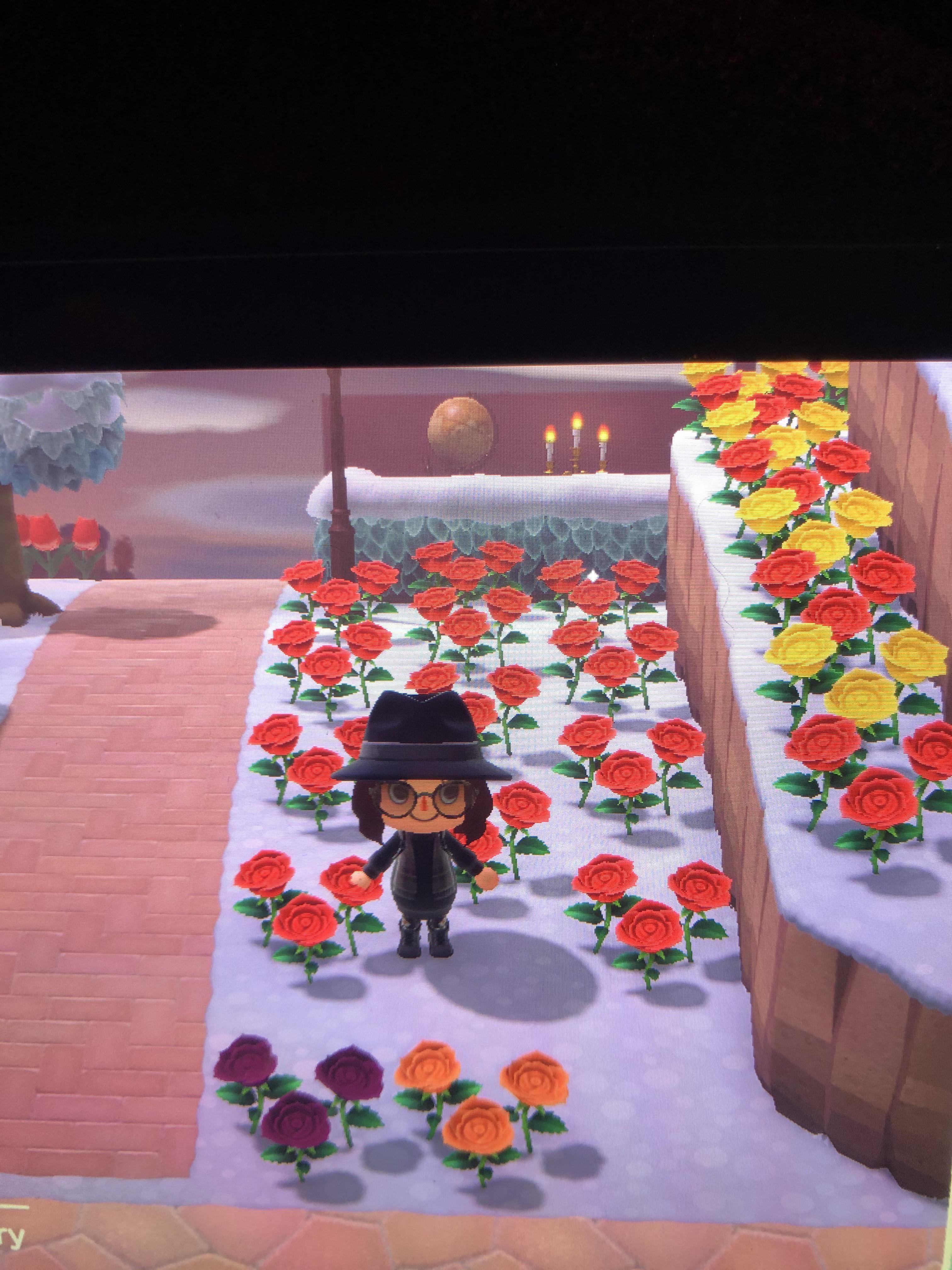 Island ideas for this small space? r/acnh