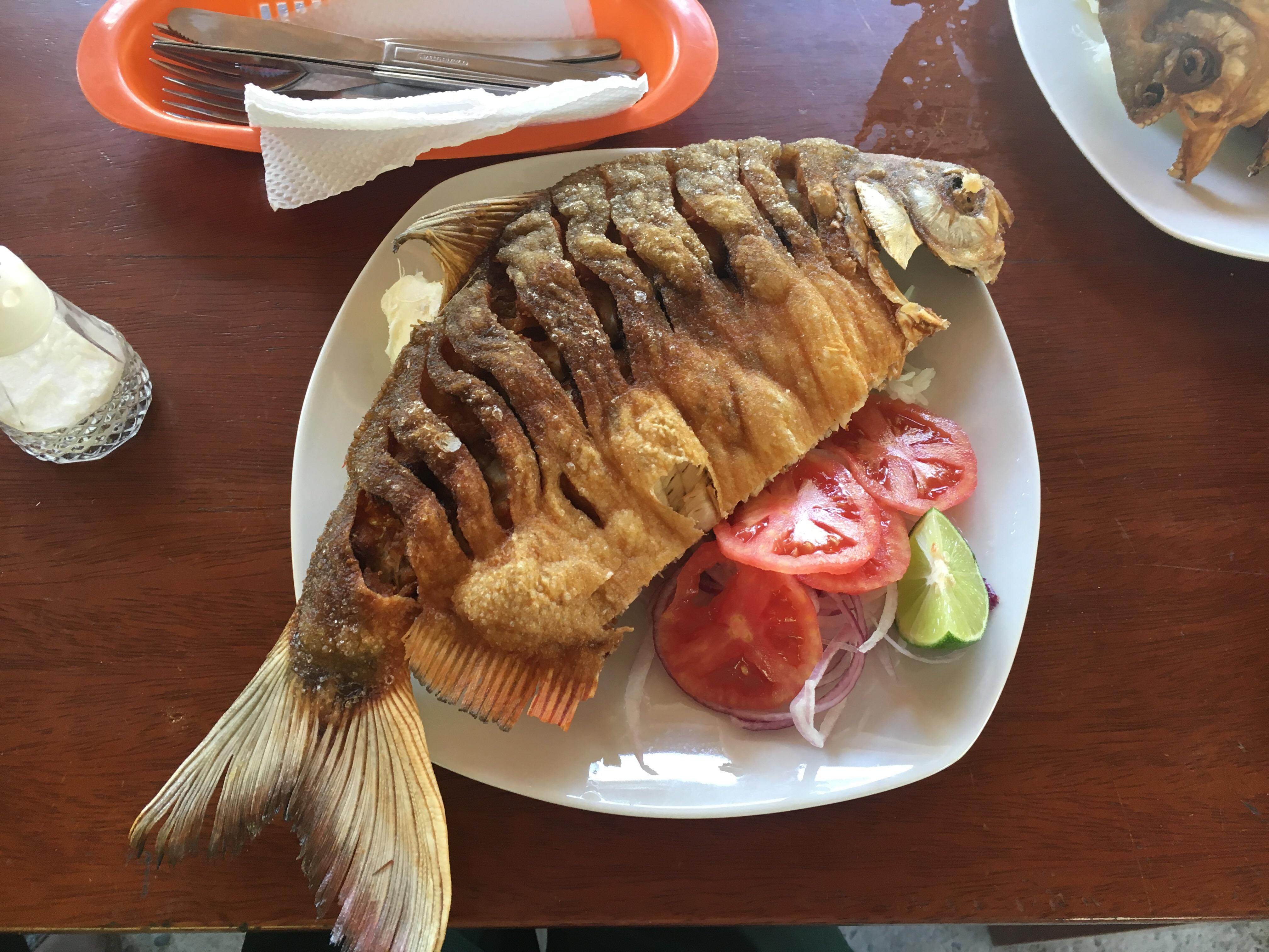 Had fried Pacu, relative of the piranha also known as the Amazonian