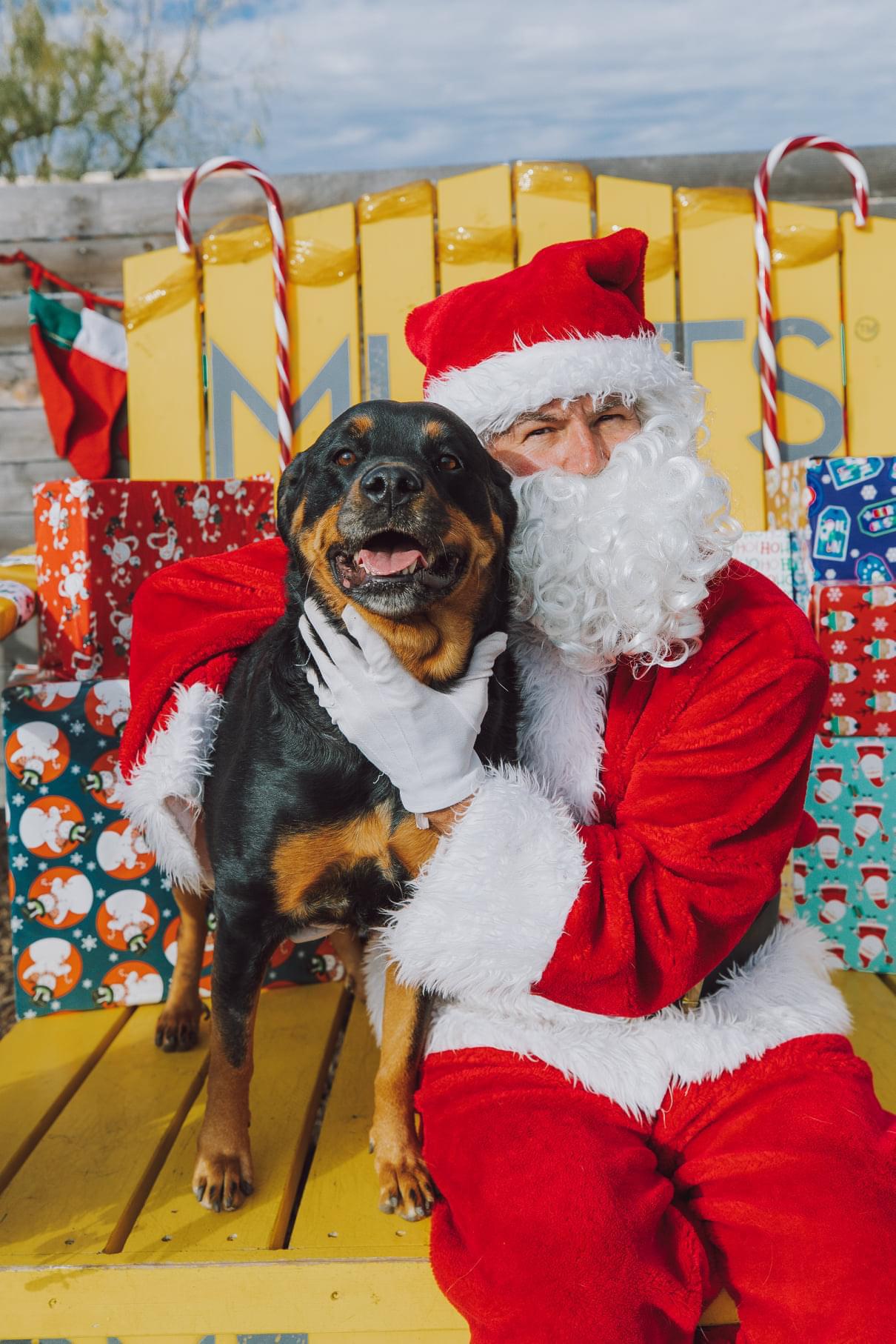 Apartments in Ft Worth that allow “aggressive” breeds with pet interview. More in comments r