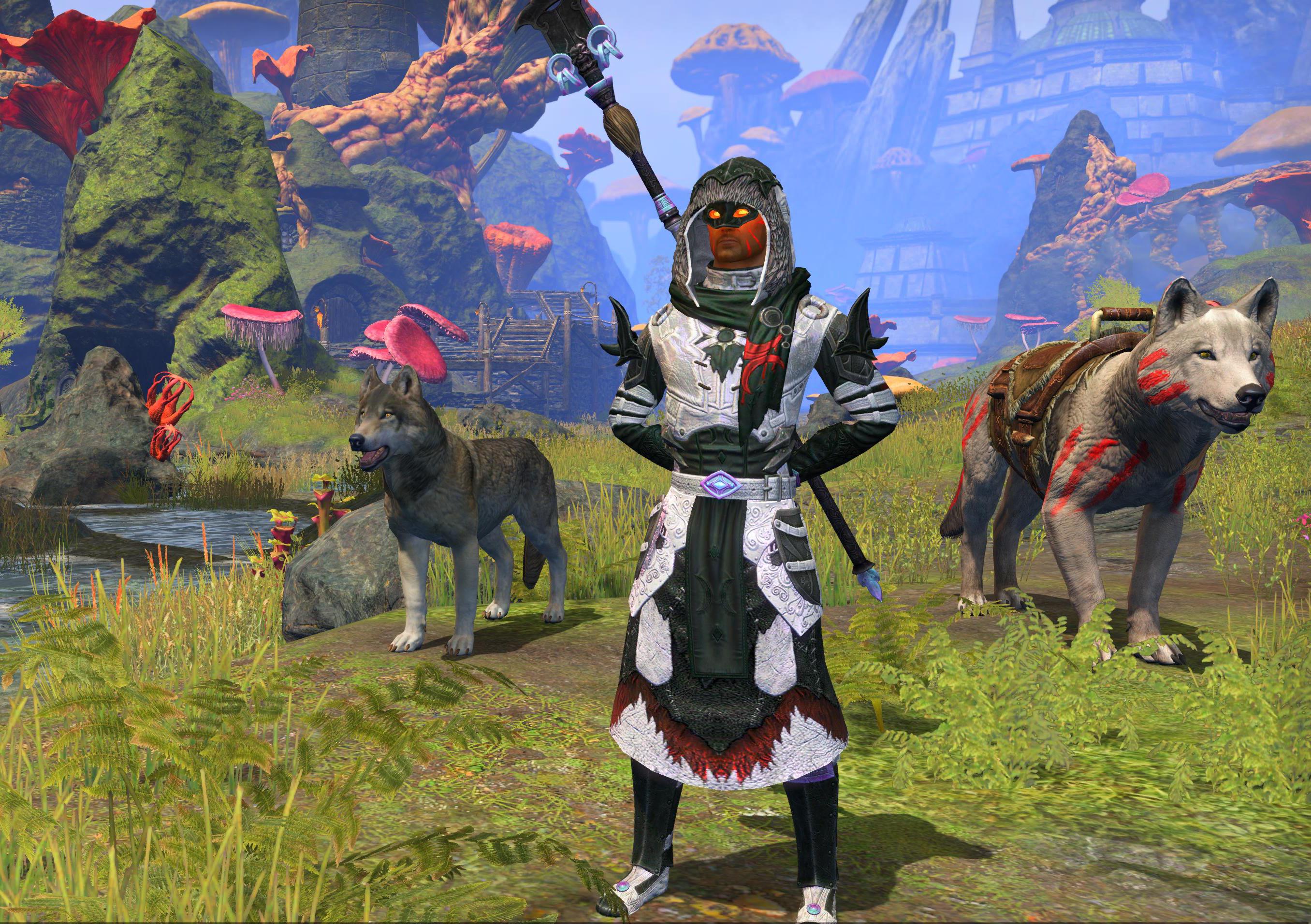 My PVP Alt (Magplar Healer) r/TESOfashion