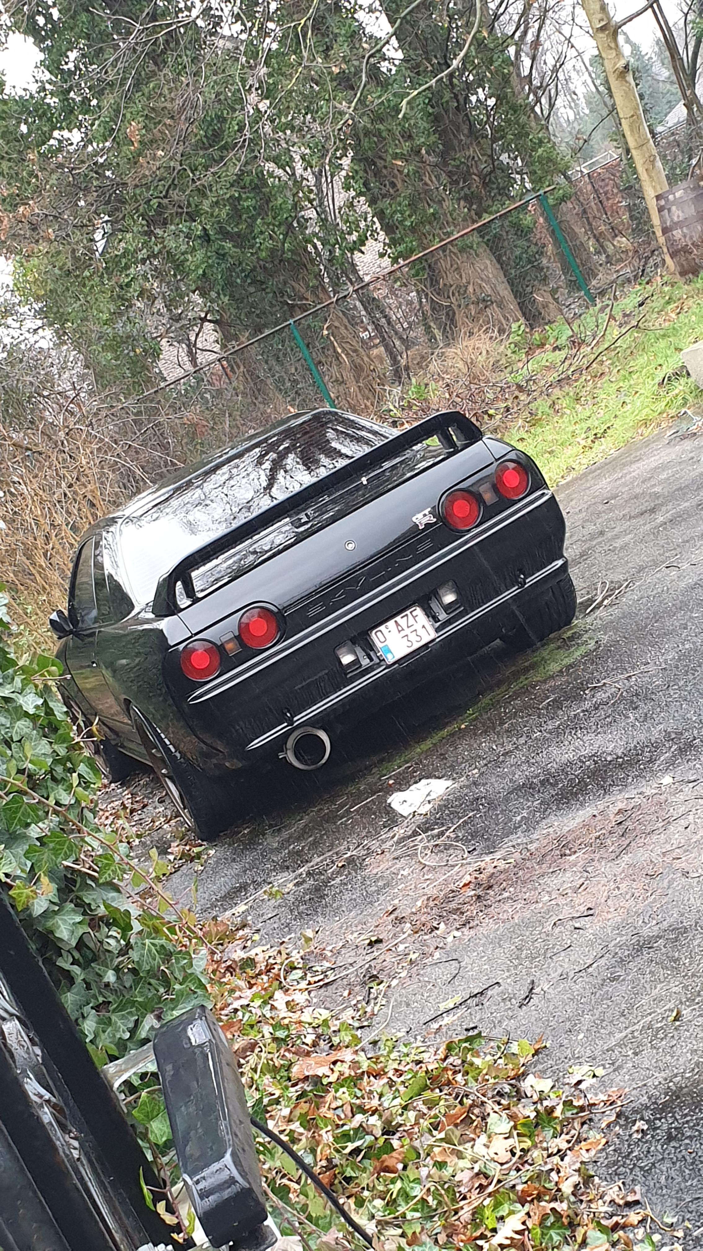 I see this car peeking behind a hedge everyday, today I decided to