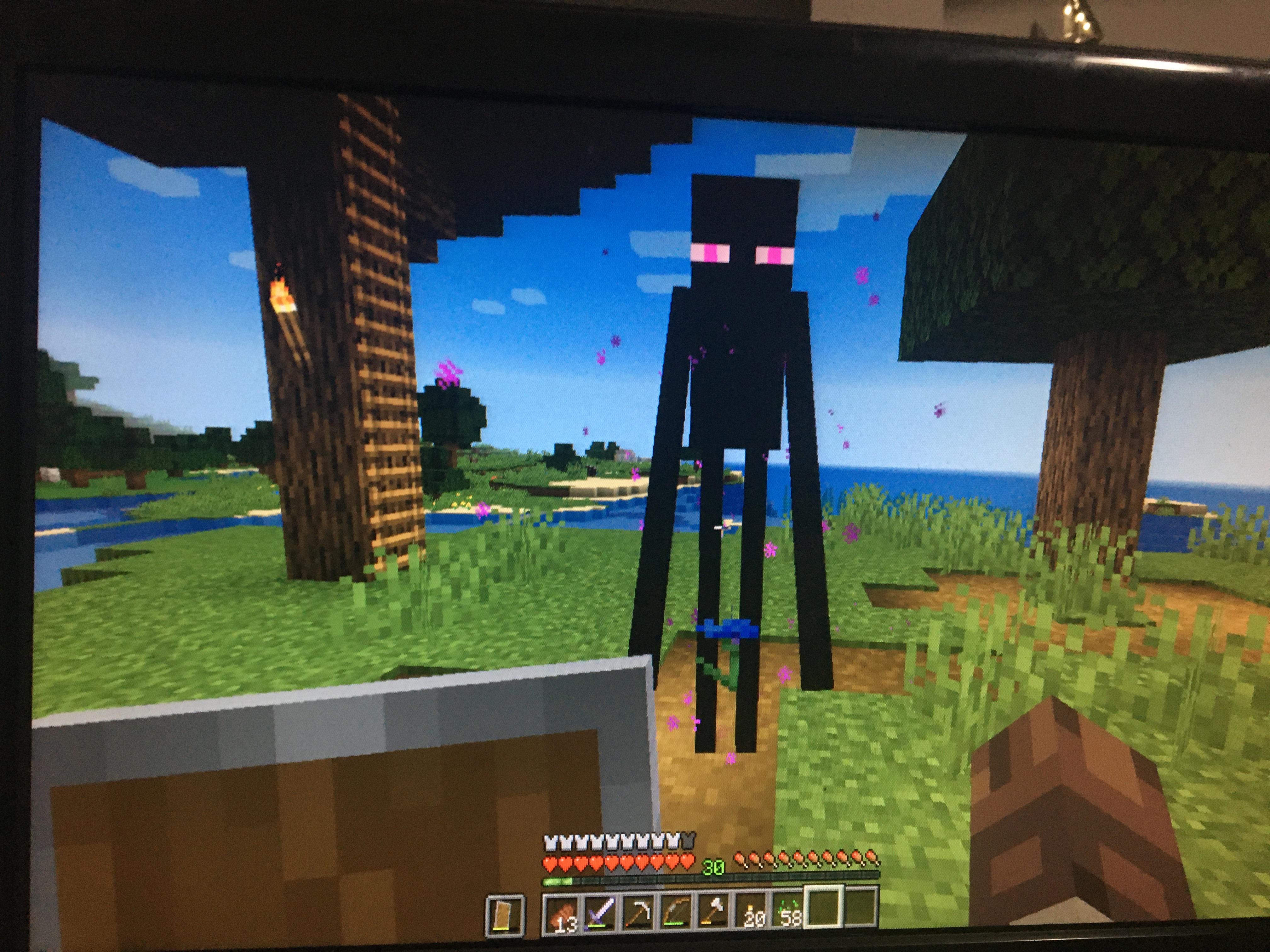 Enderman with flower 3 r/Minecraft