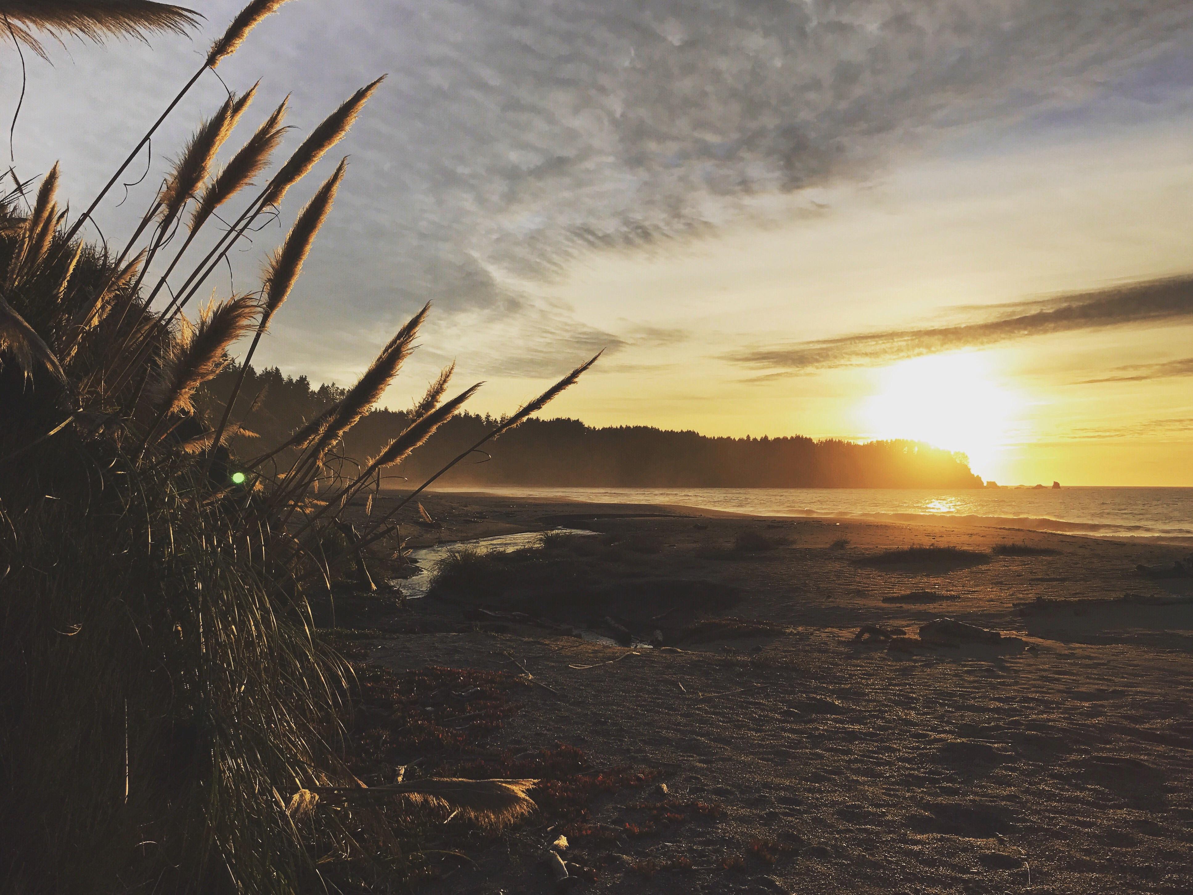 Trinidad, CA [3872x2906] [OC] r/ImagesOfCalifornia