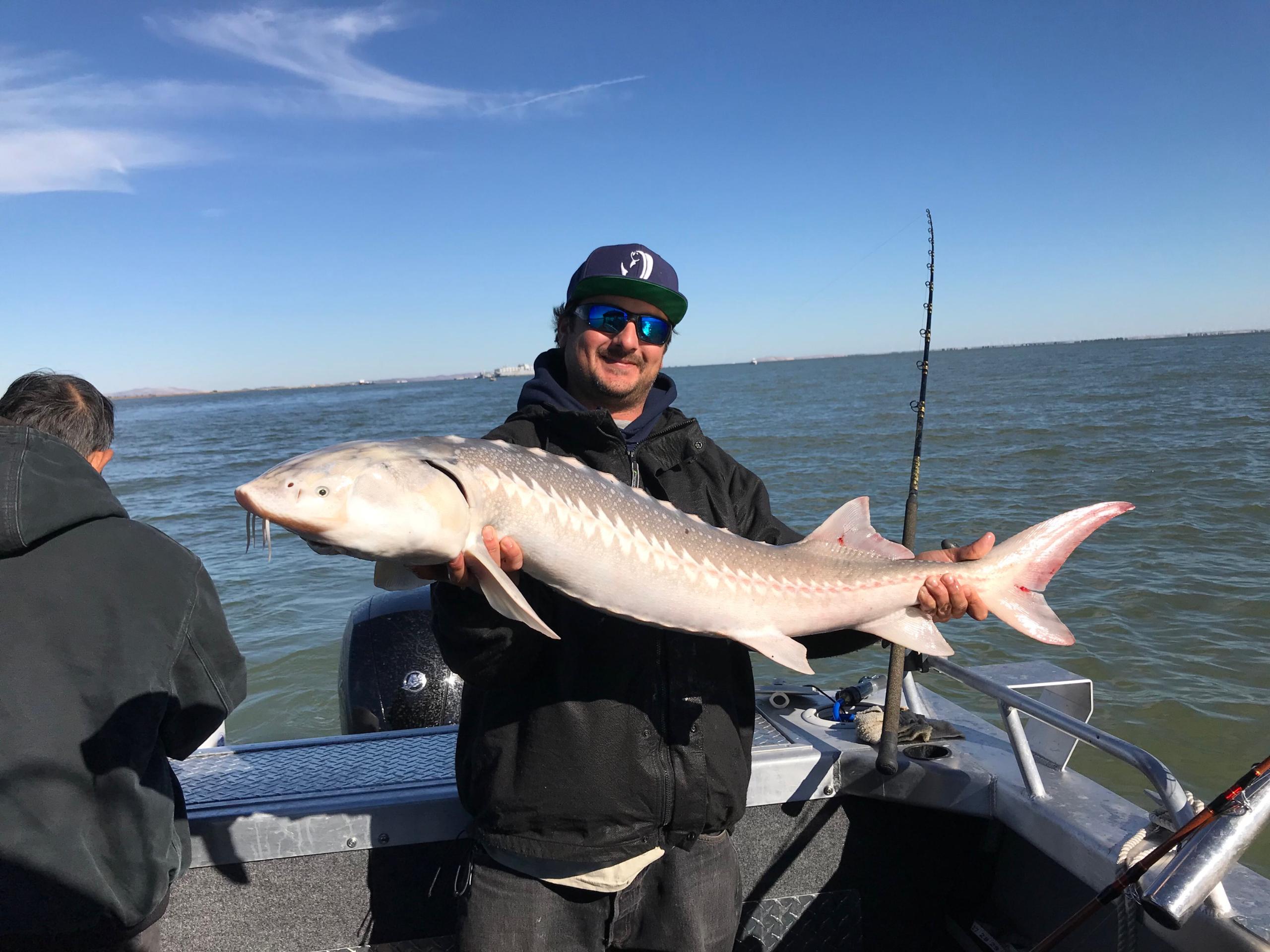 Sturgeon fishing in the bay area. r/Fishing