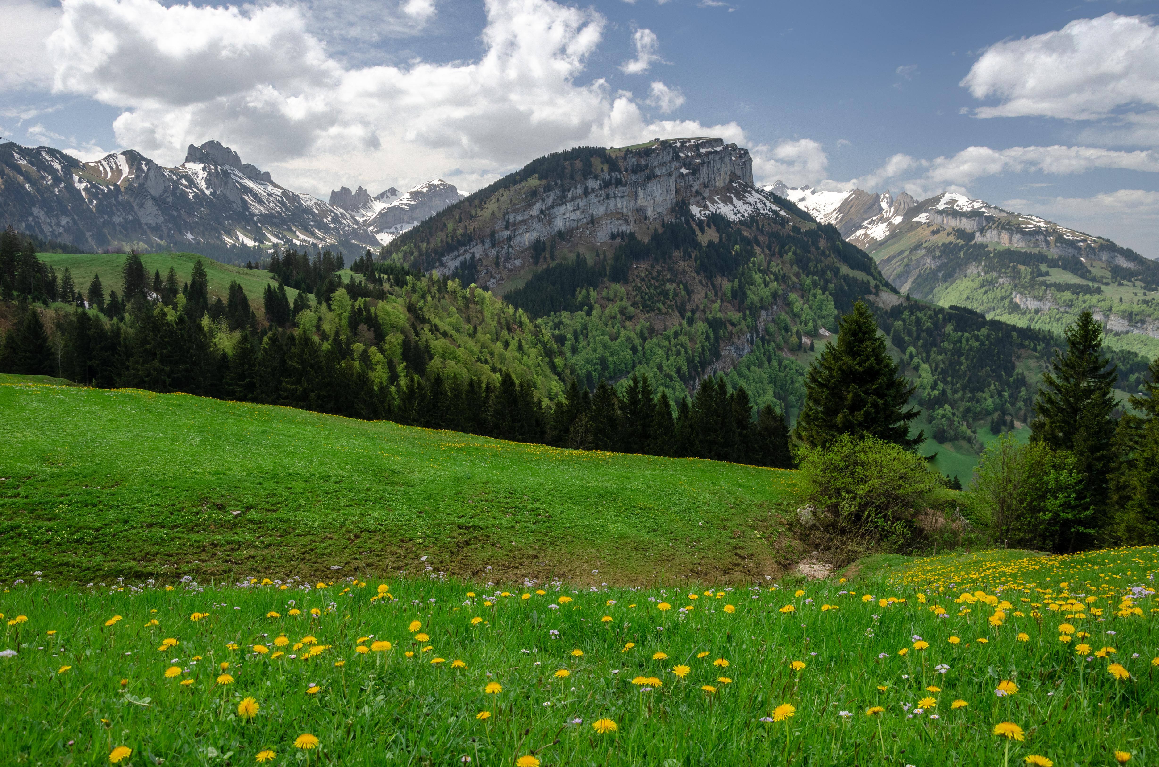 Alpine meadow. Alpstein, Switzerland [OC] [4914×3255] r/EarthPorn