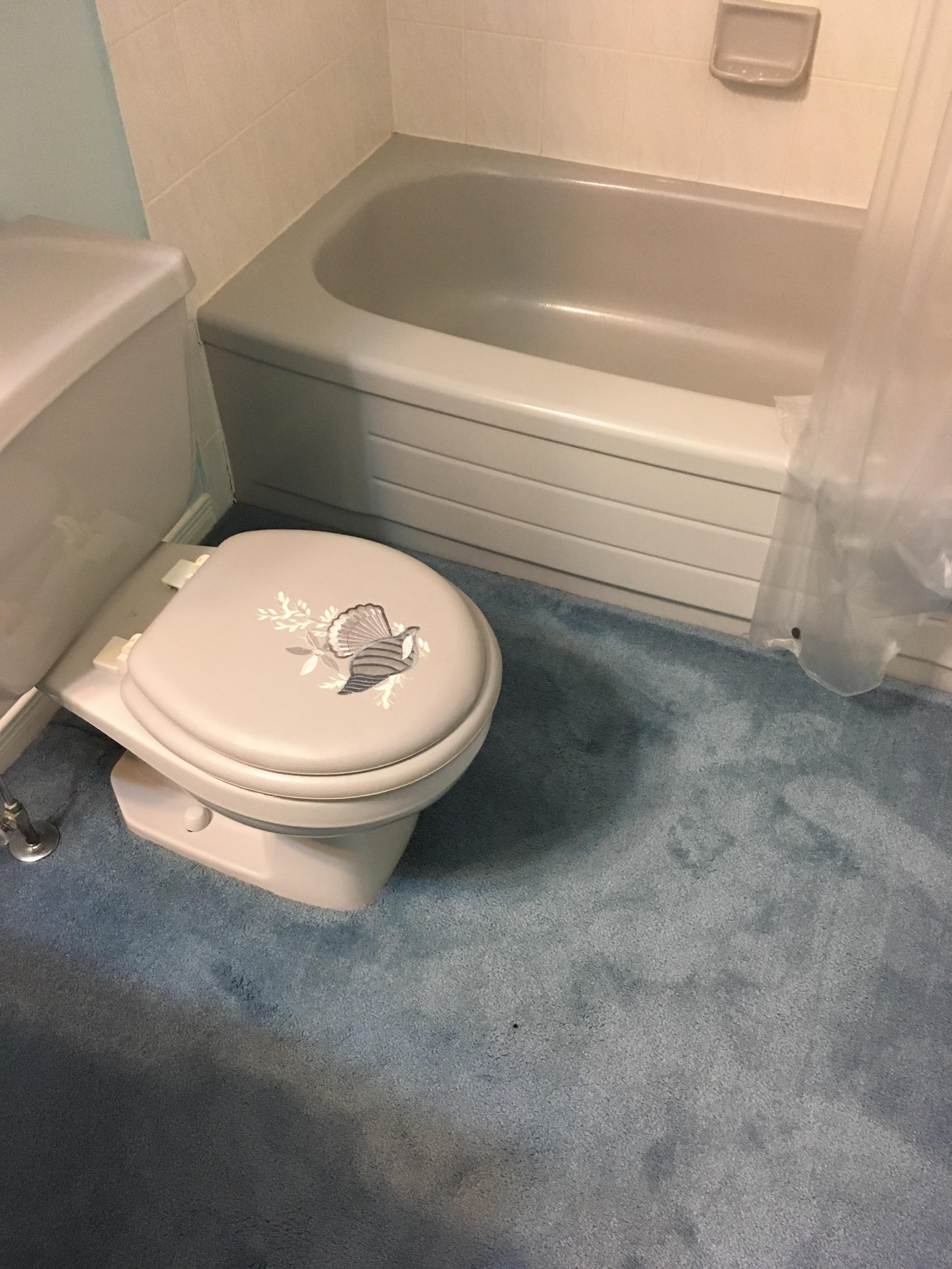 Is a carpeted bathroom literally a crappy design? r/CrappyDesign