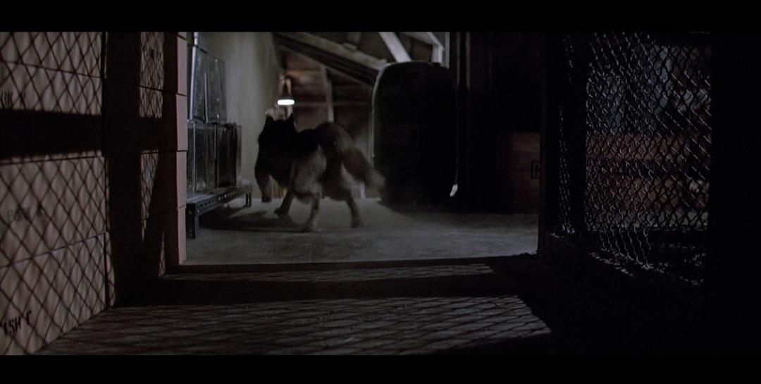 In John Carpenter's The Thing (1982), the Kennel scene shows all three