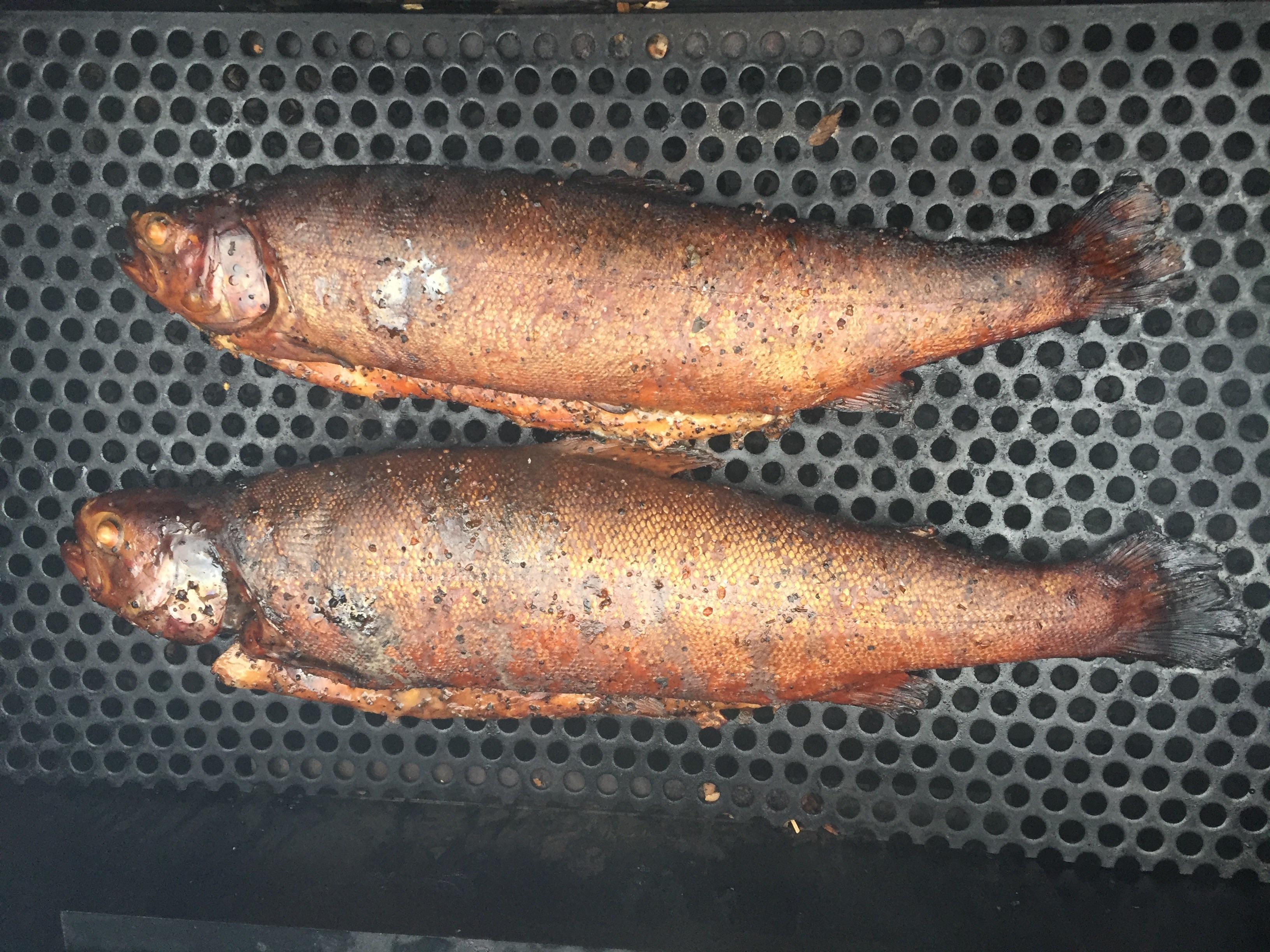 [Homemade] Smoked salmon r/food