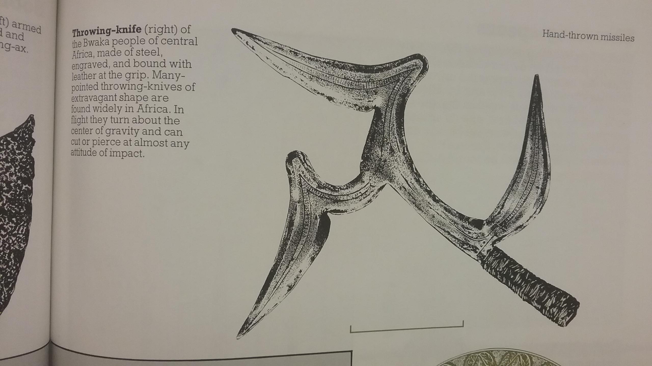 I found the Lizal TriBoomerang from BotW in a cool book about weapons