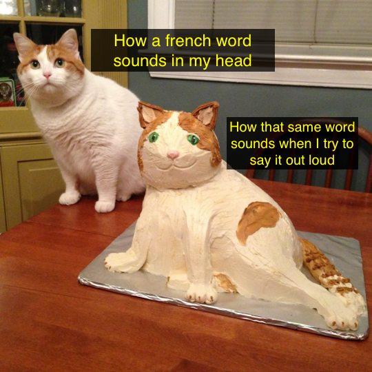 How Do You Say I Like Cats In French CatWalls