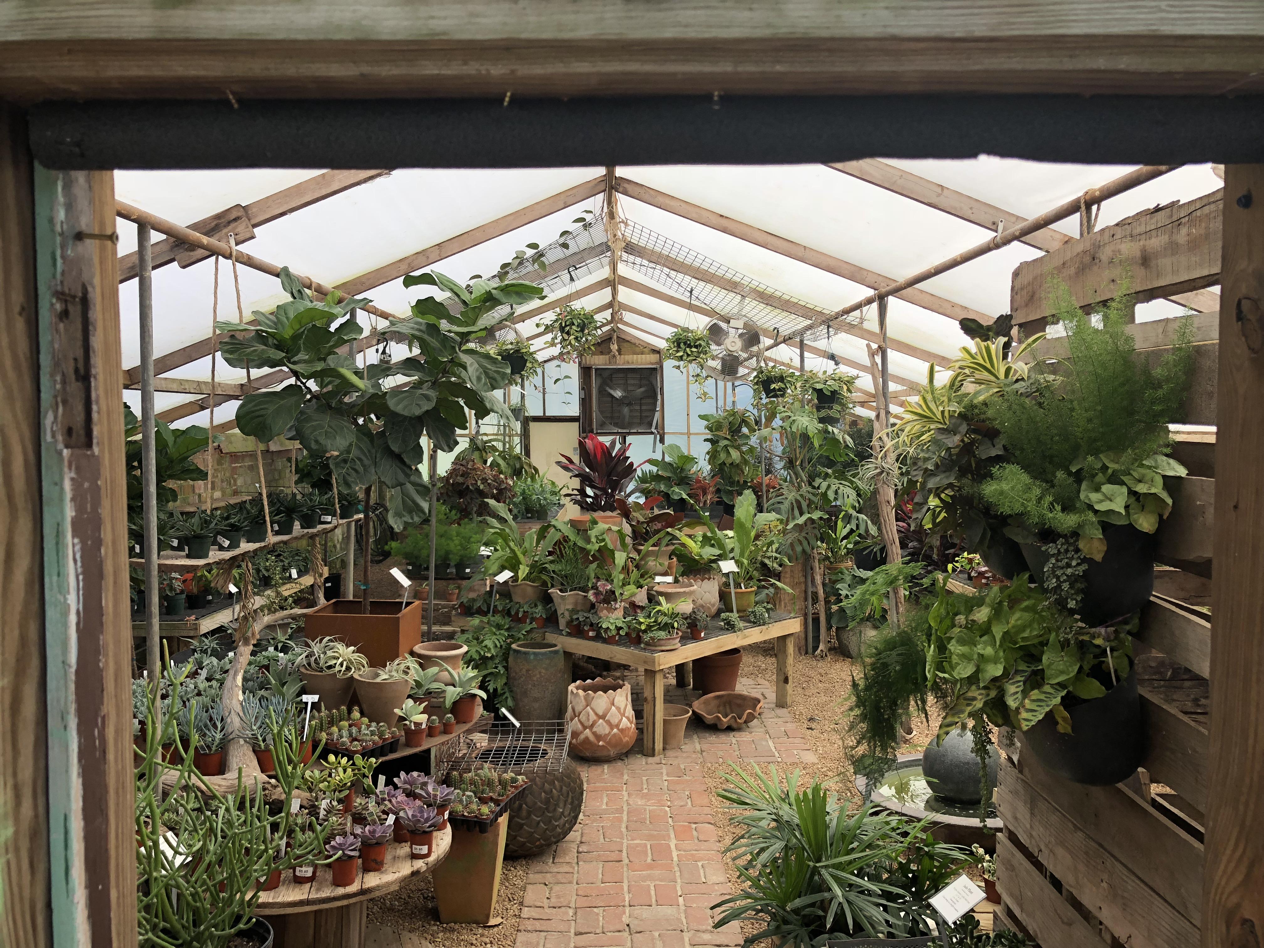 My local in ground greenhouse r/Greenhouses