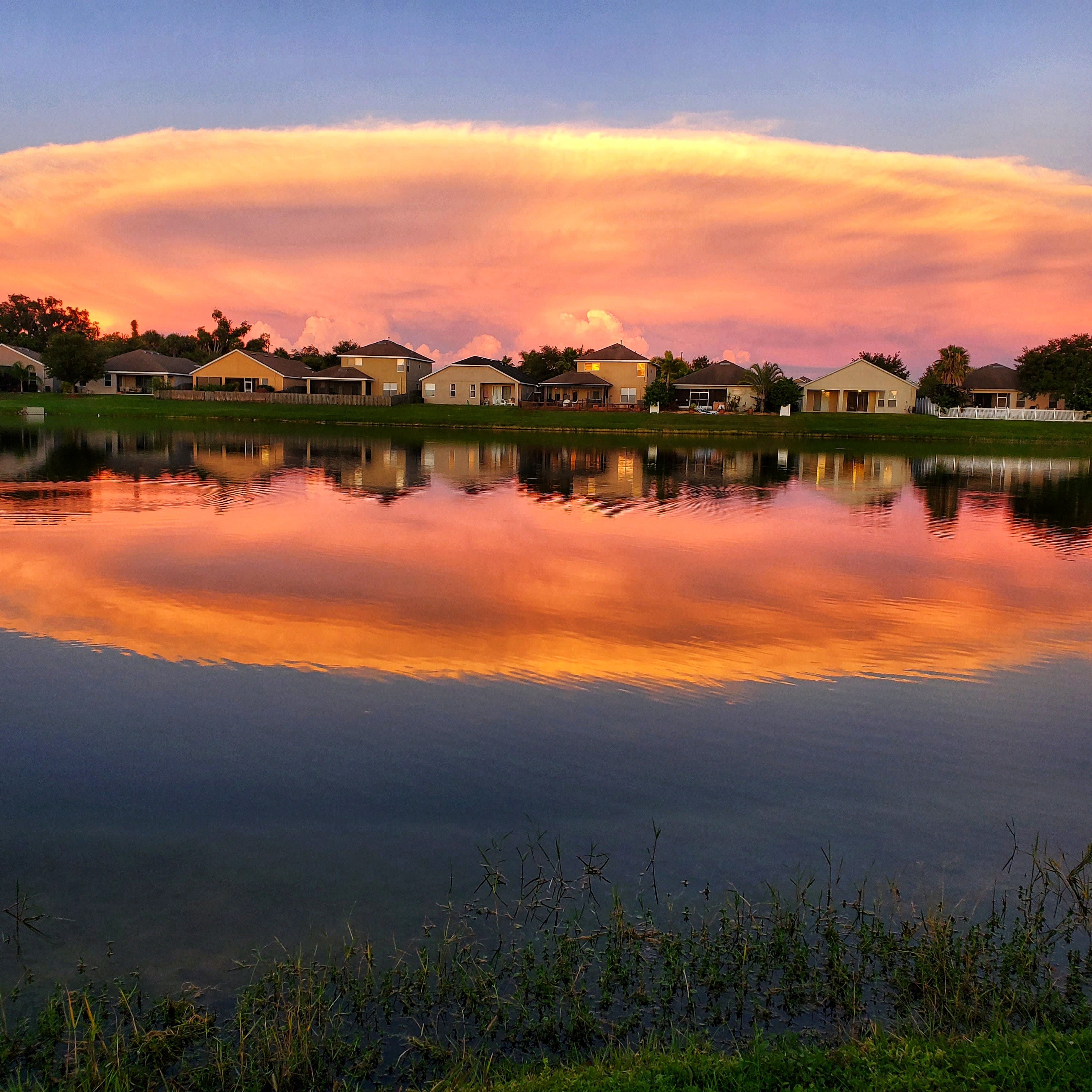 My backyard. Apollo beach Florida r/SkyPorn