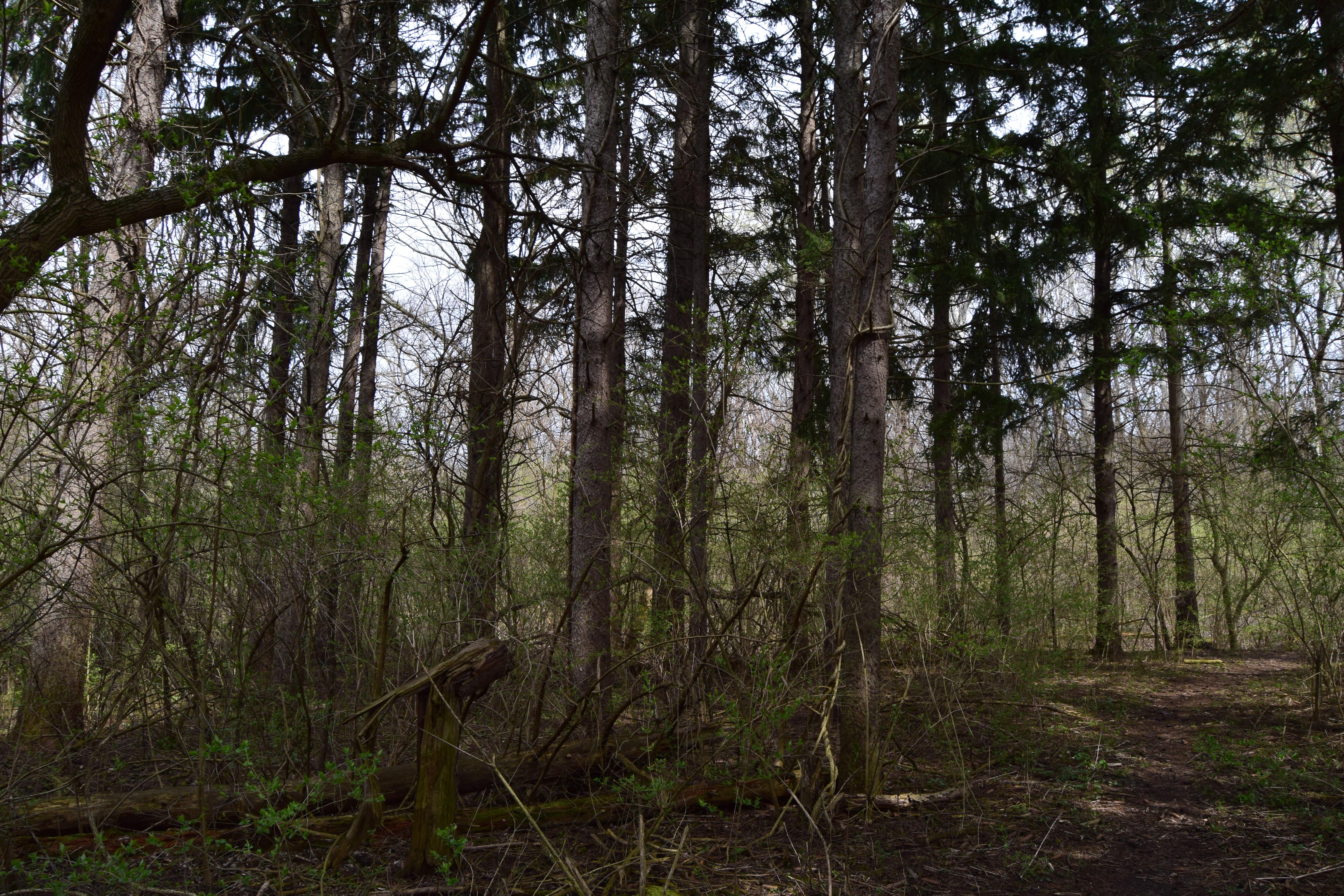 Rock Cut State Park,Loves Park,Illinois.[6000x4000][OC] r/EarthPorn
