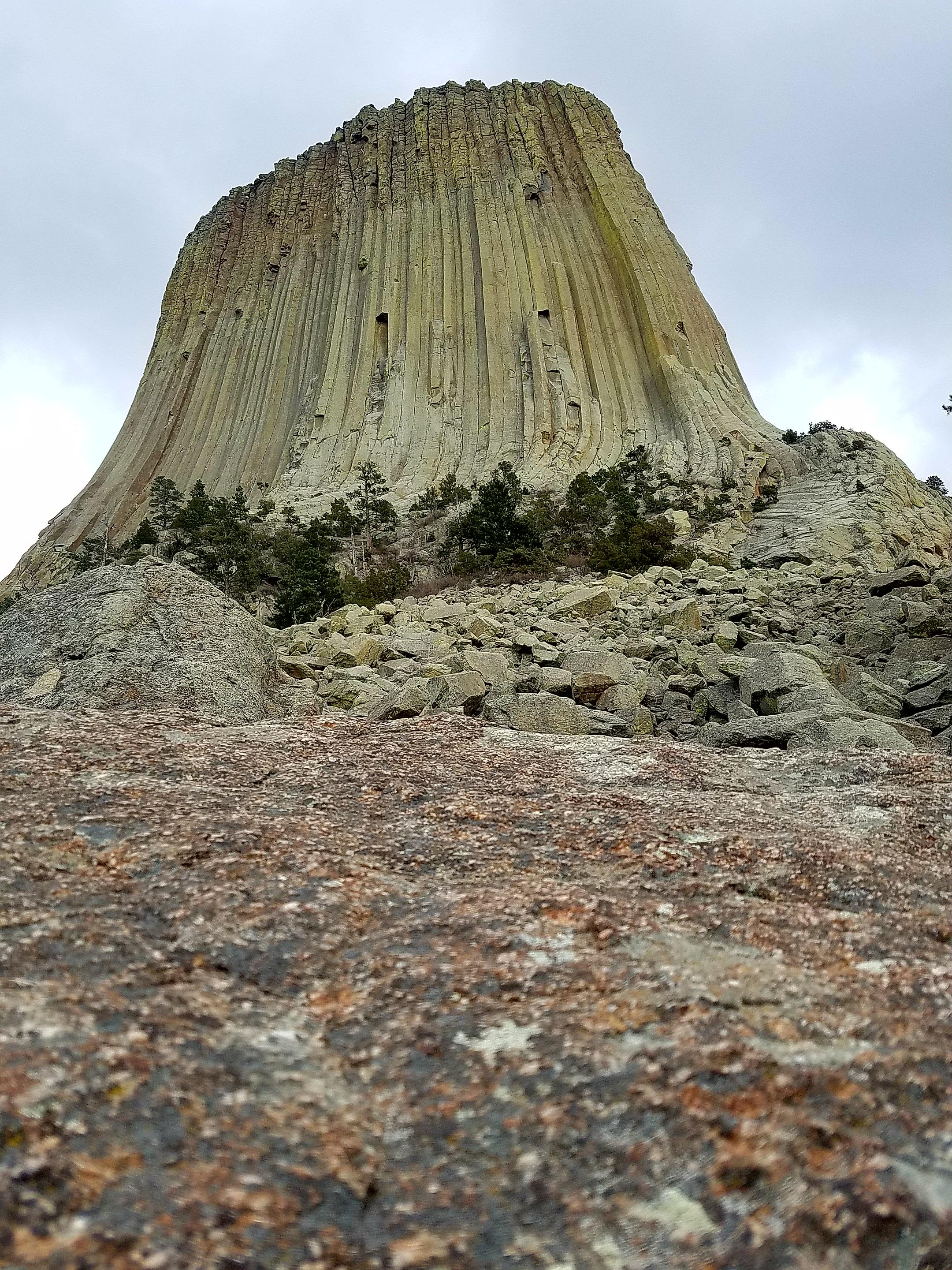 A lone Devil sitting on his tower. Devils Tower, Wyoming. Close