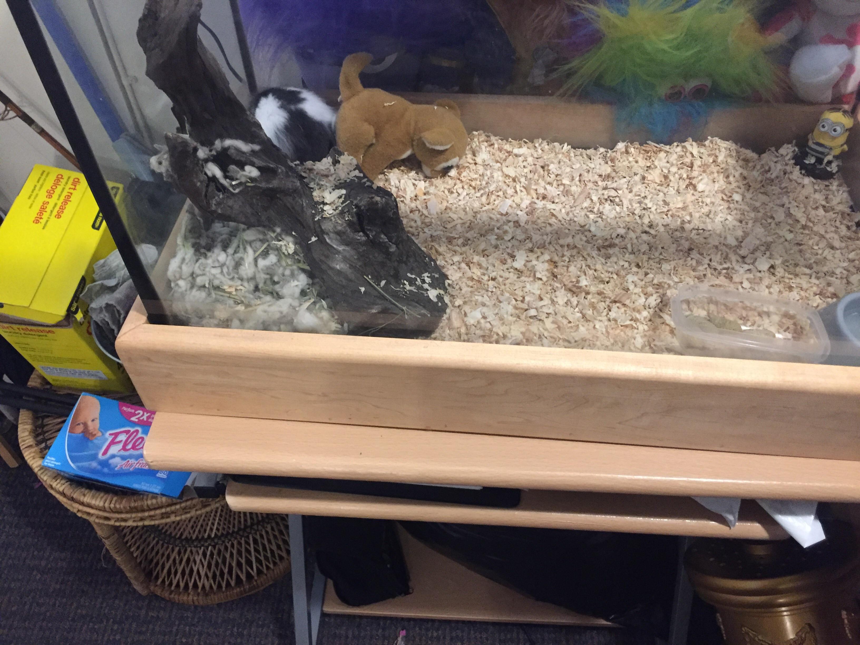 Is it good to keep hamsters in an modified aquarium my dad was persistent on using one instead