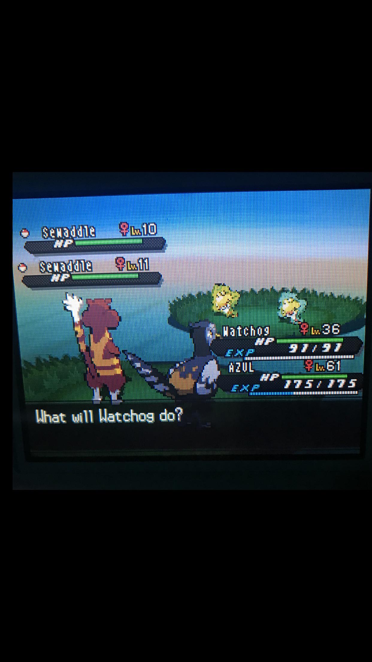 [Gen 5] Finally after 3 shiny Patrat, phase four ends with shiny sewaddle. Guess I’ll start