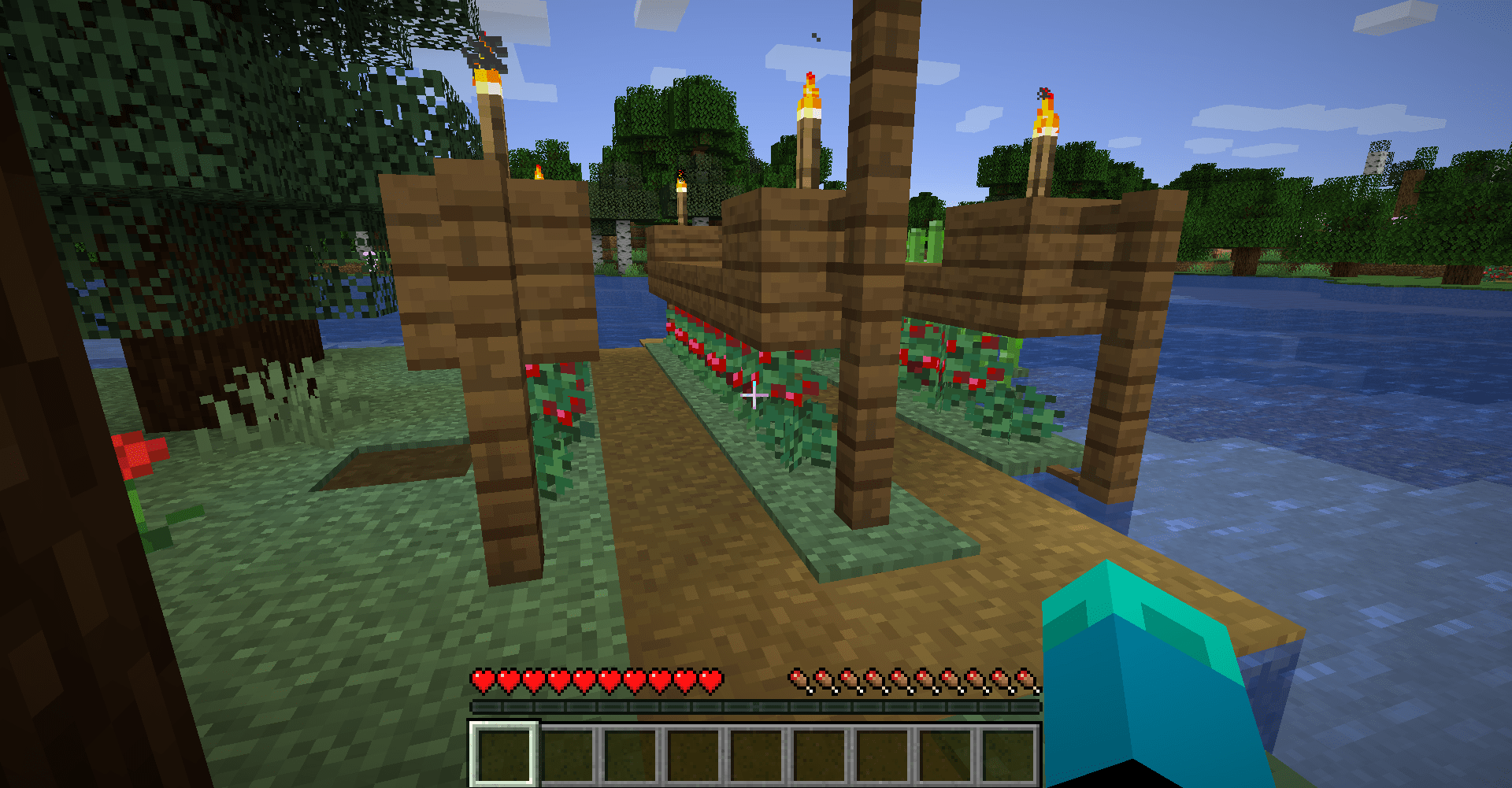 cool berry bush farm design that stops you from running into them r