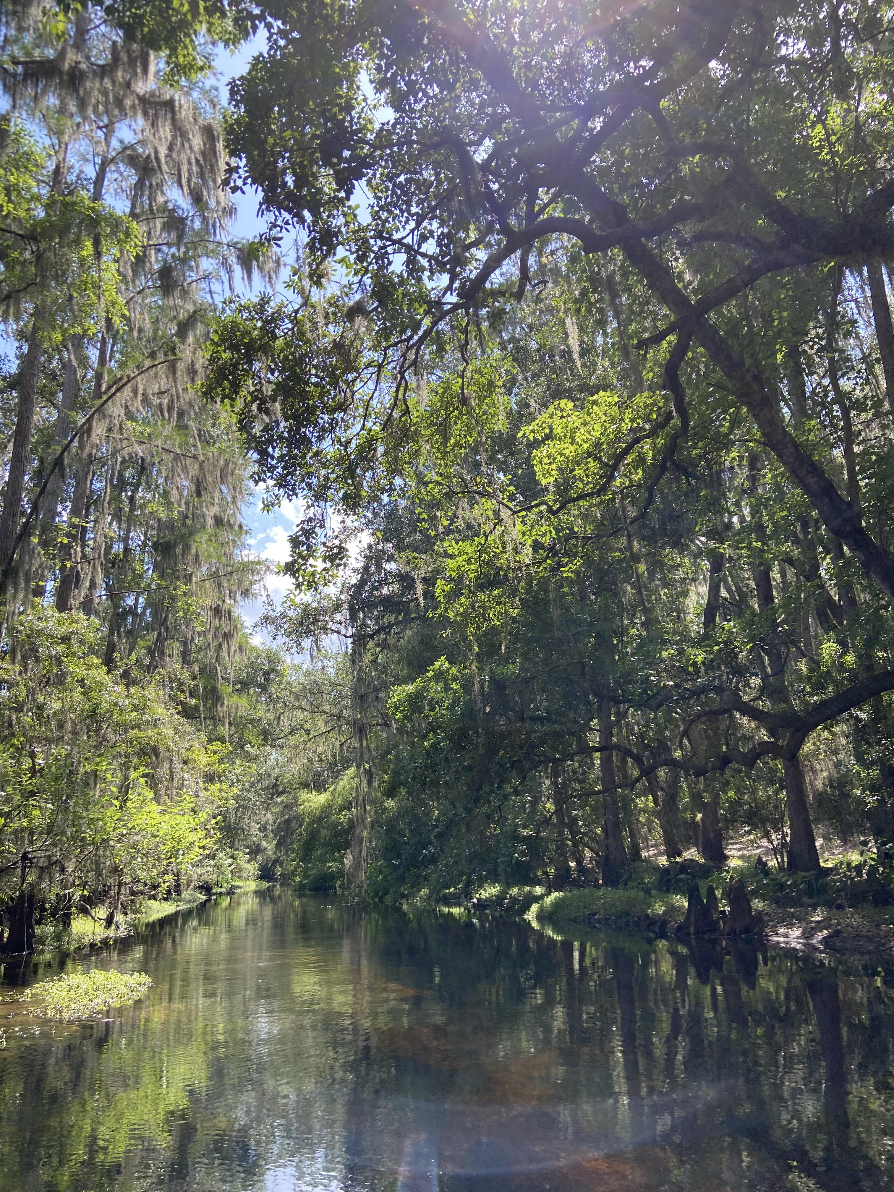 Best places to Kayak in central Florida r/Kayaking