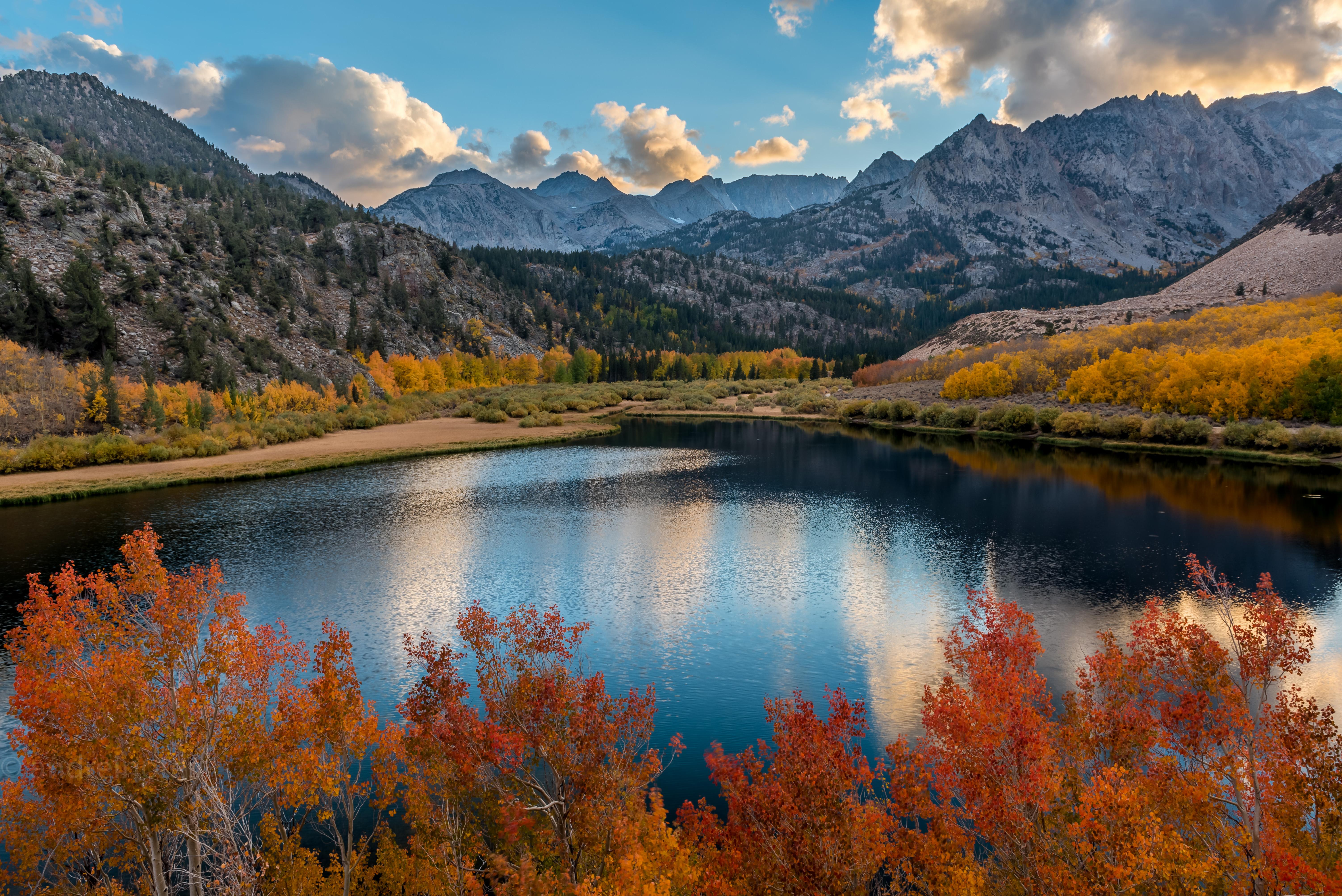 Fall colors, Eastern Sierras, California [oc][6010x4012] r/EarthPorn