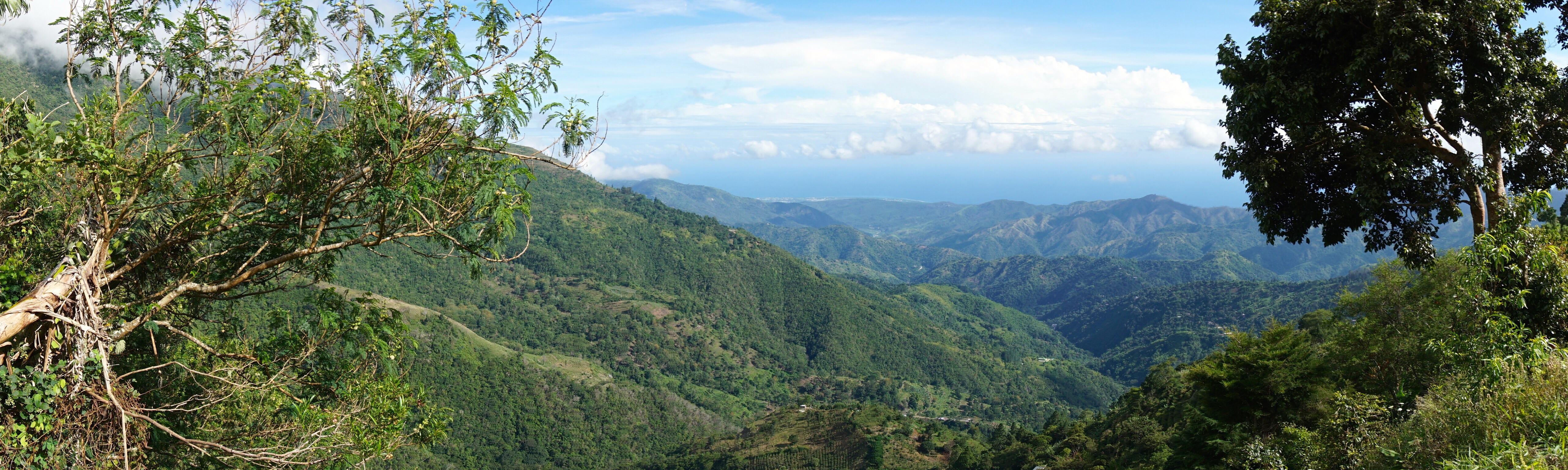 [OC] went on a hike caught this sweet panorama, blue mountains Jamaica