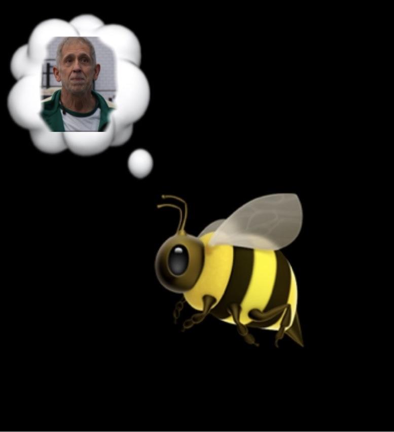 Rick’s Bees Thinking About Him r/squidgame