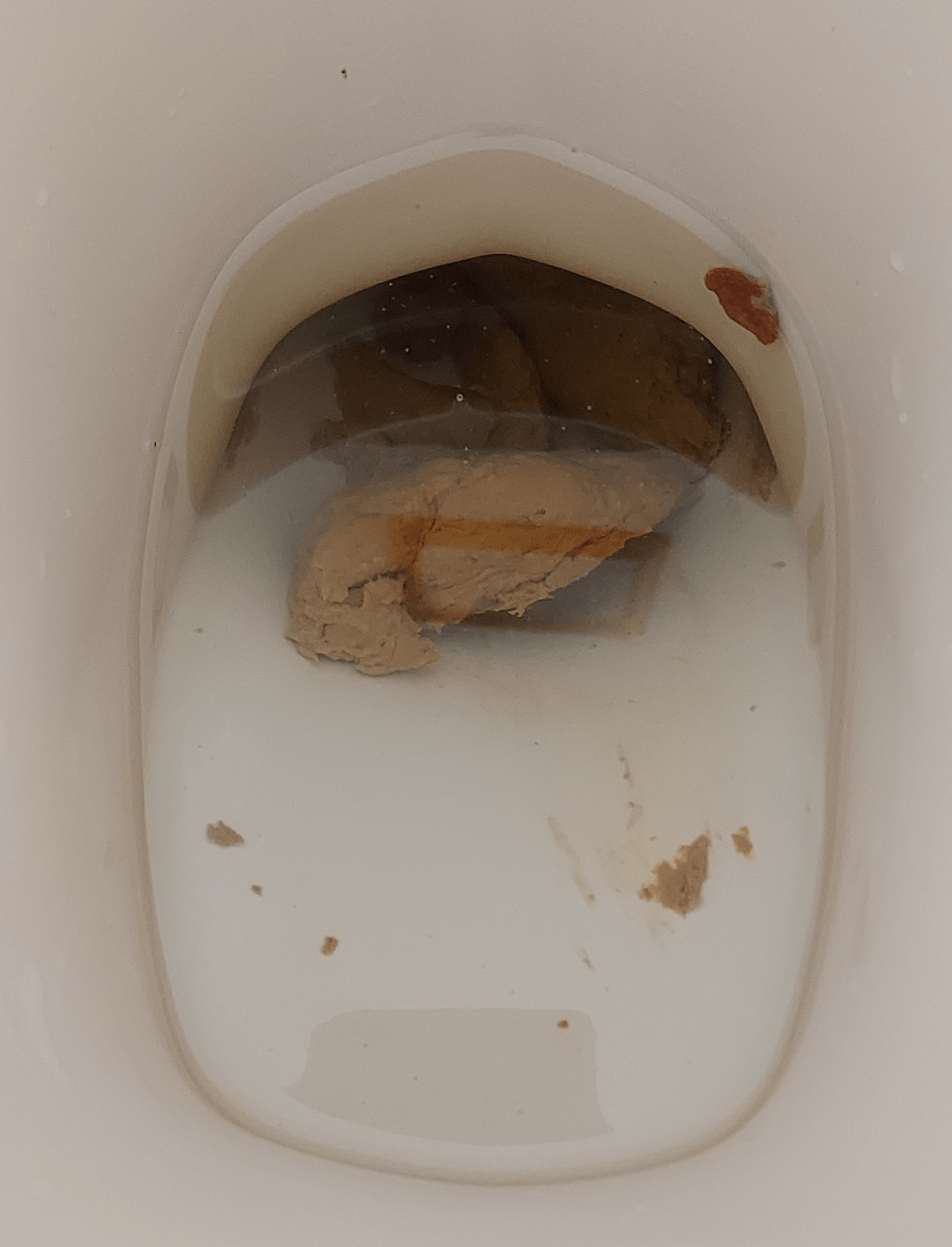 Work poop r/ratemypoo