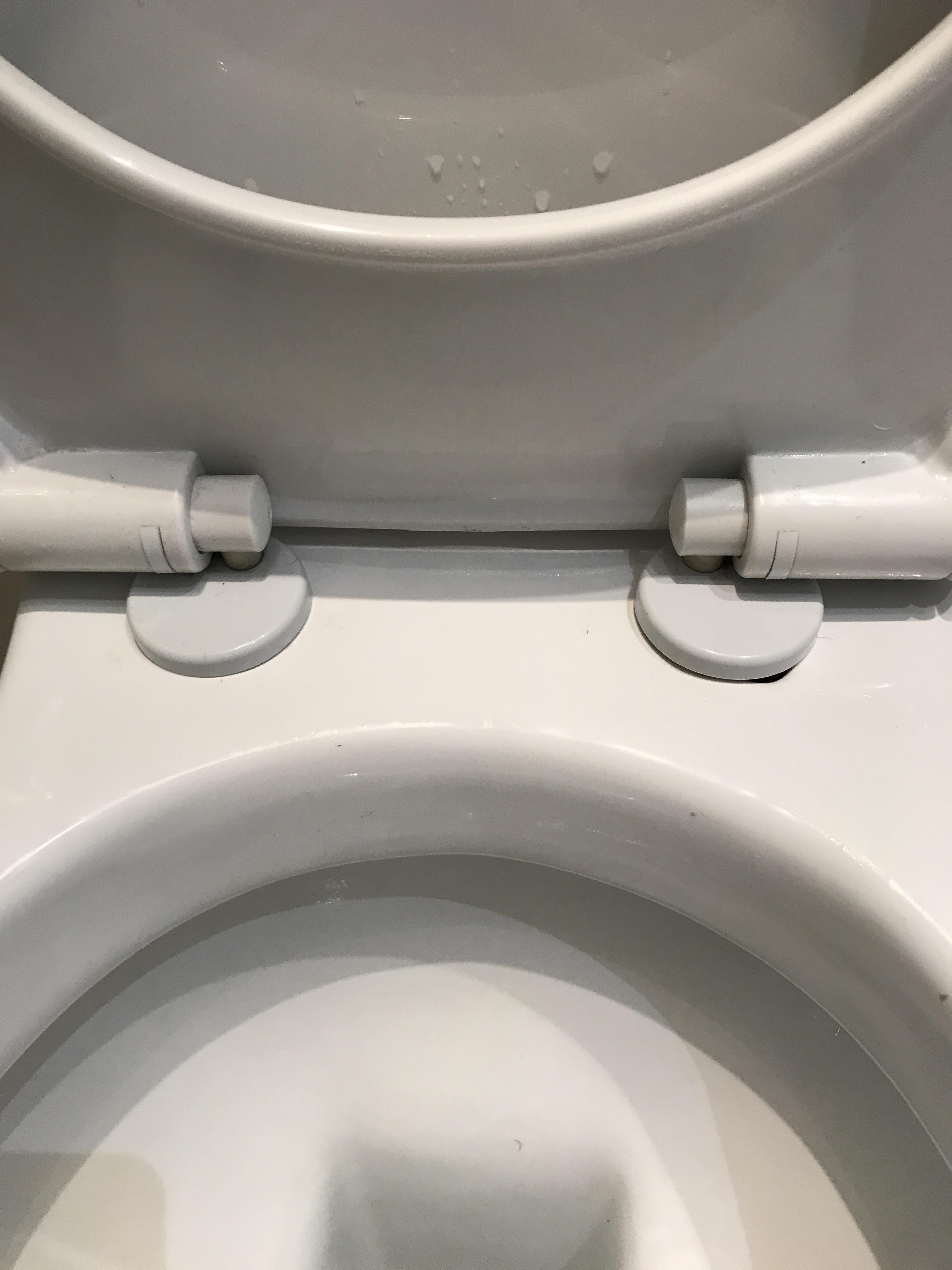 Could anyone please help me know how to tighten this toilet seat?? r
