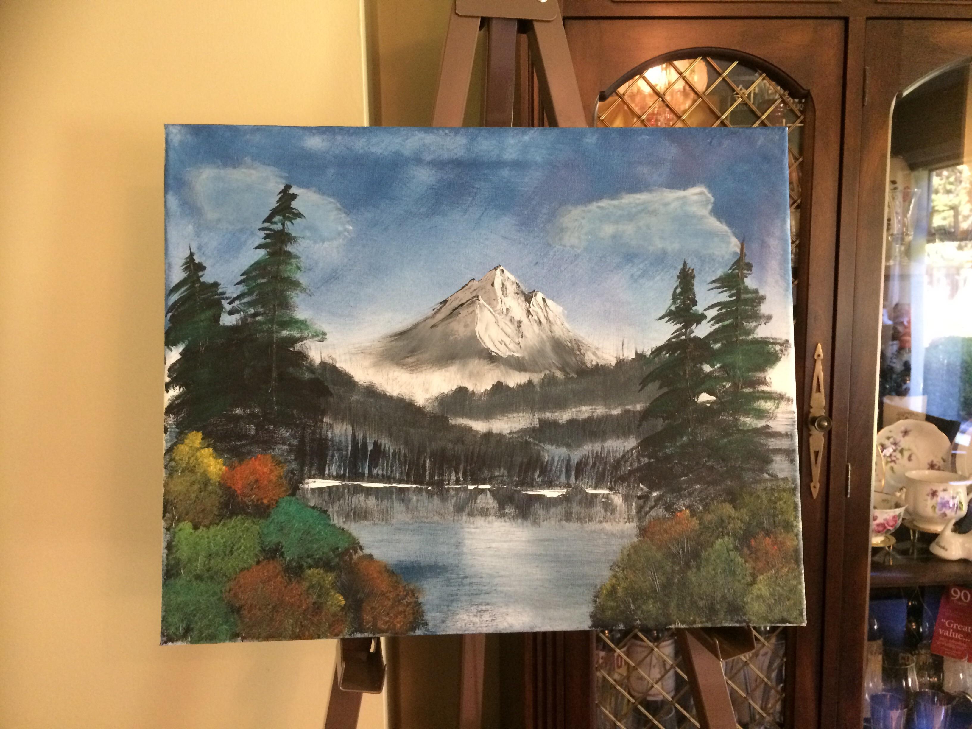 First time painting, followed along Bob Ross. Acrylics, 50cmx60cm r