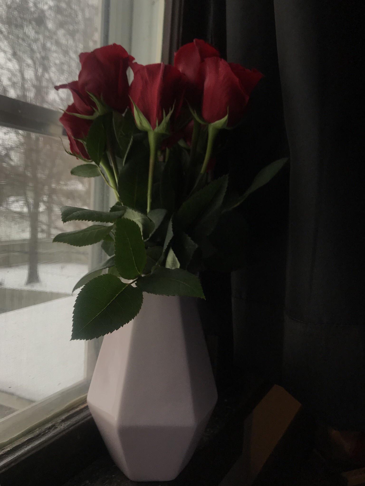 Boyfriend bought me flowers 🥰🥰🥰 picked up this fun, simple vase from