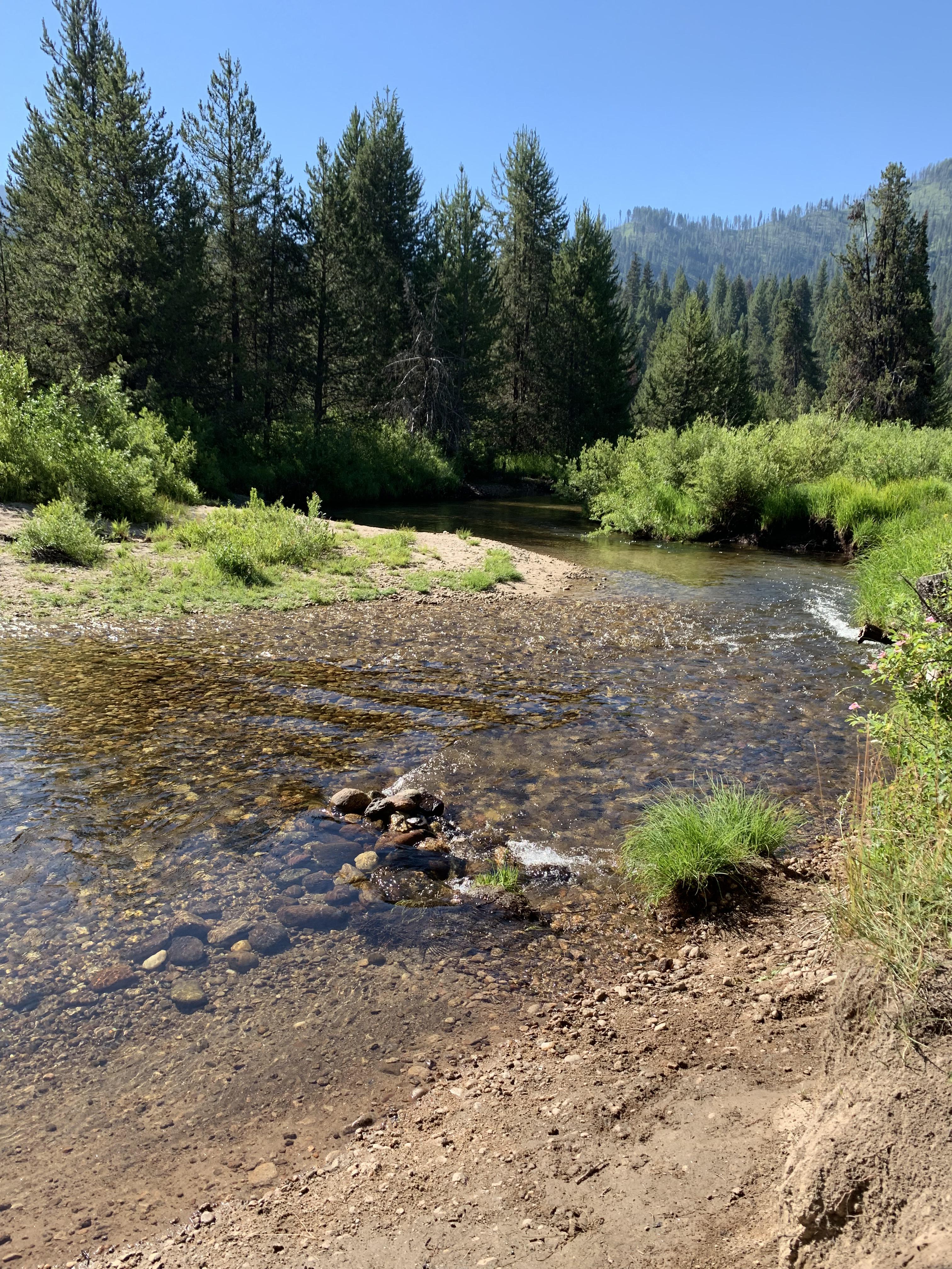 Silver Creek, Idaho this weekend. r/camping