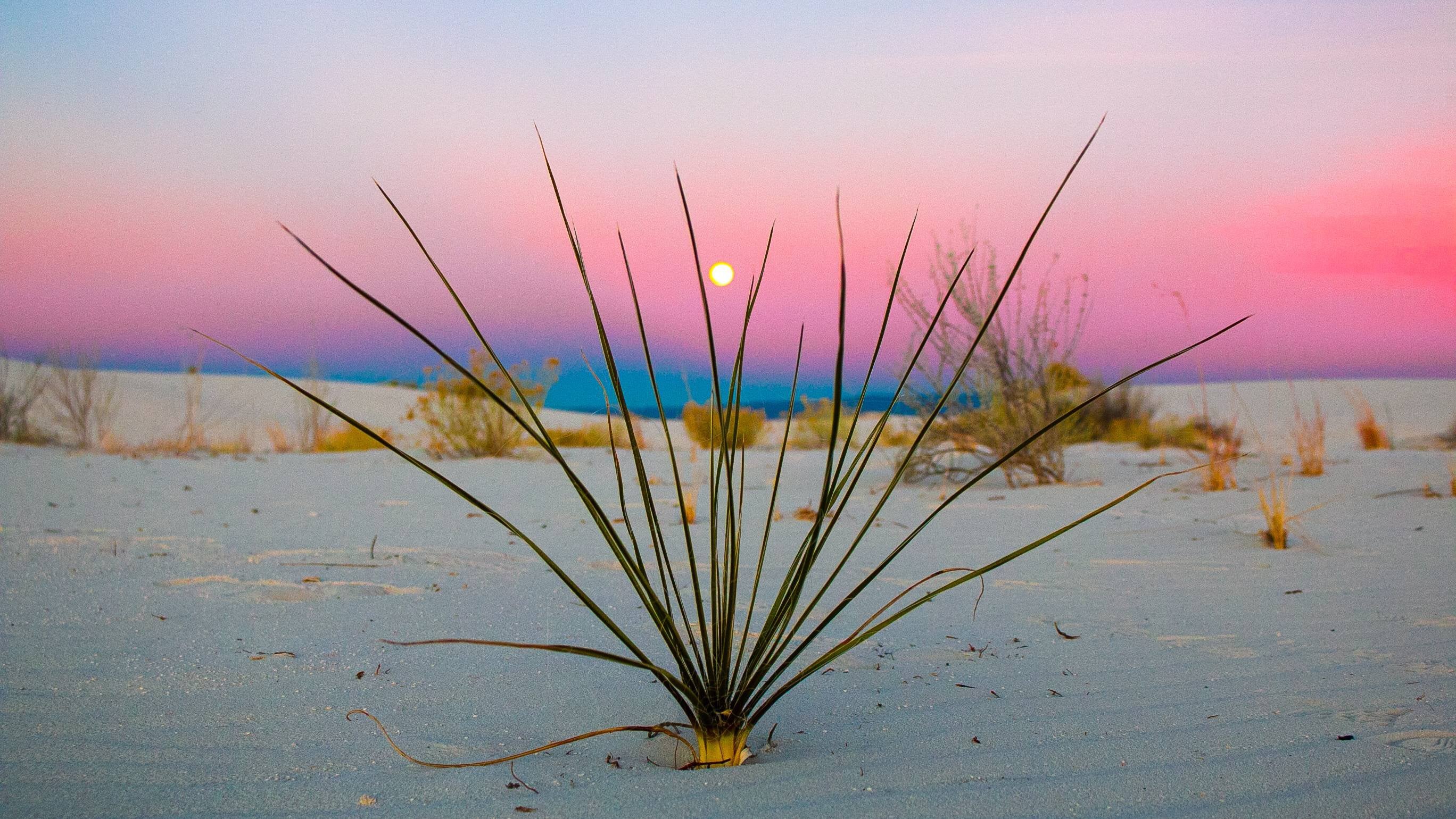 Sunset at White Sands, New Mexico (Photo credit to uMarkDaMan22) [2736