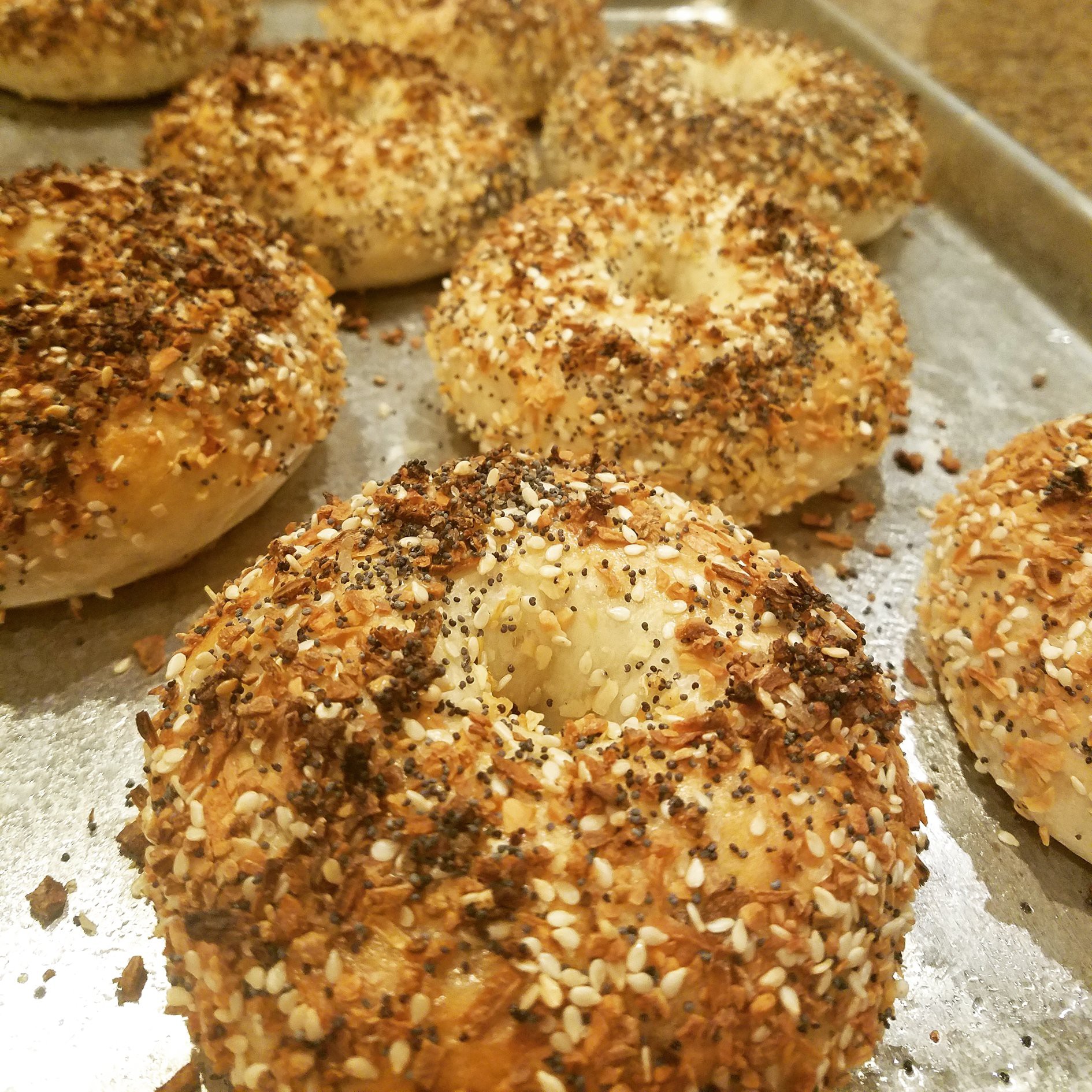 First perfect everything bagels! Breadit