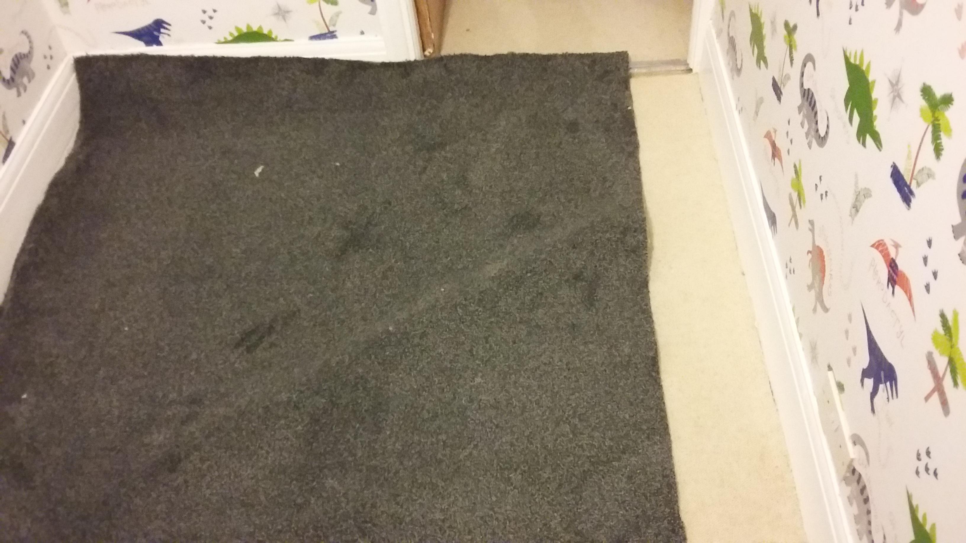 The company misread the dimensions and cut the carpet too short before