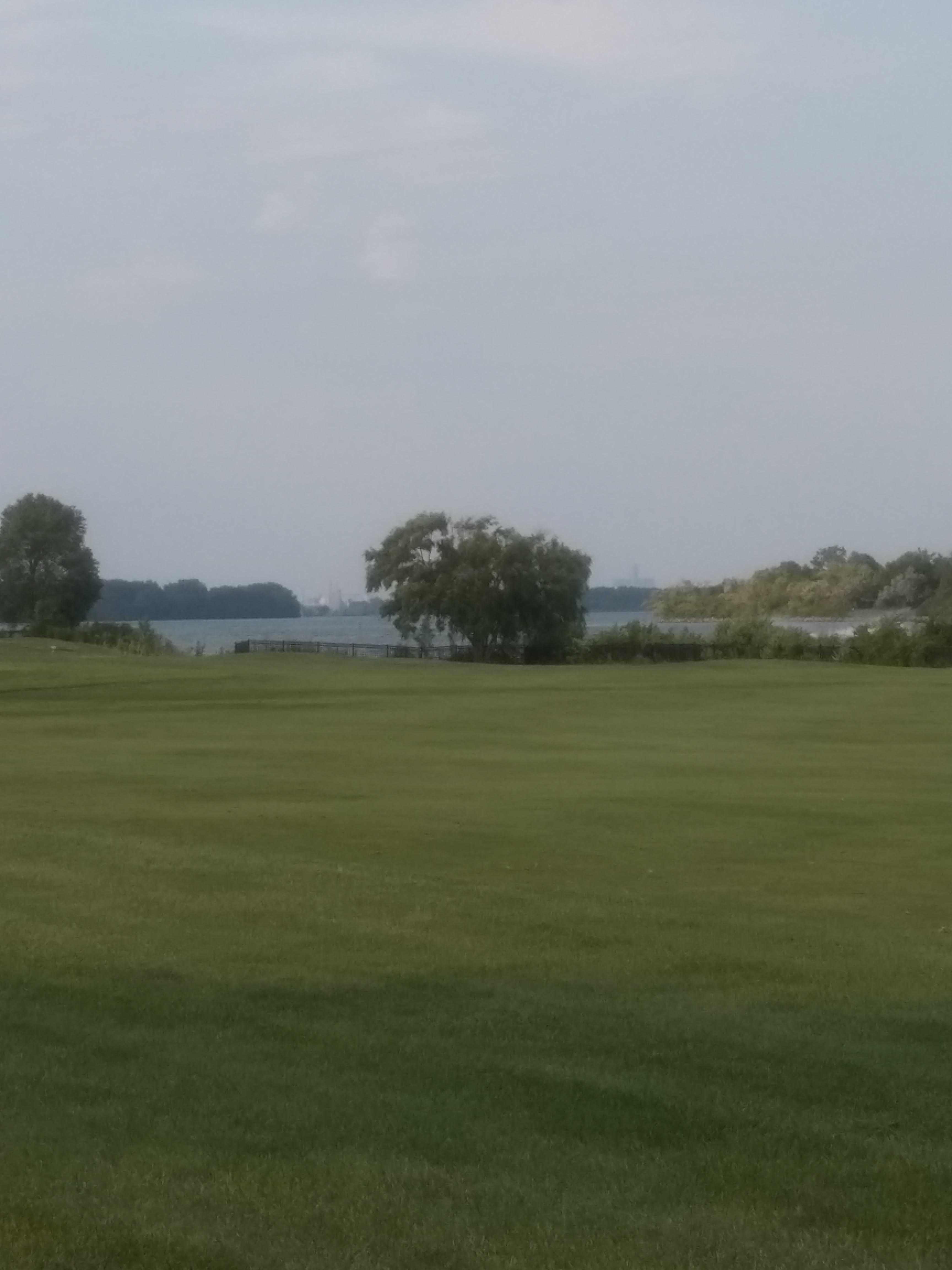 View of Downtown from the golf course in Wyandotte r/downriver