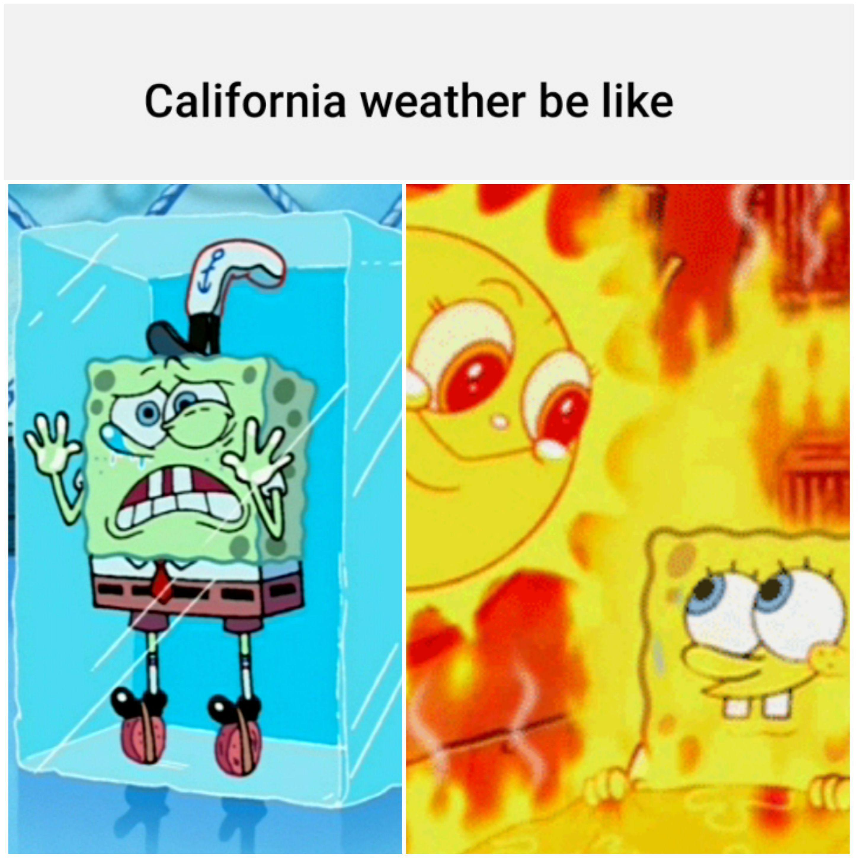 Hot in the day then cold in the night r/memes
